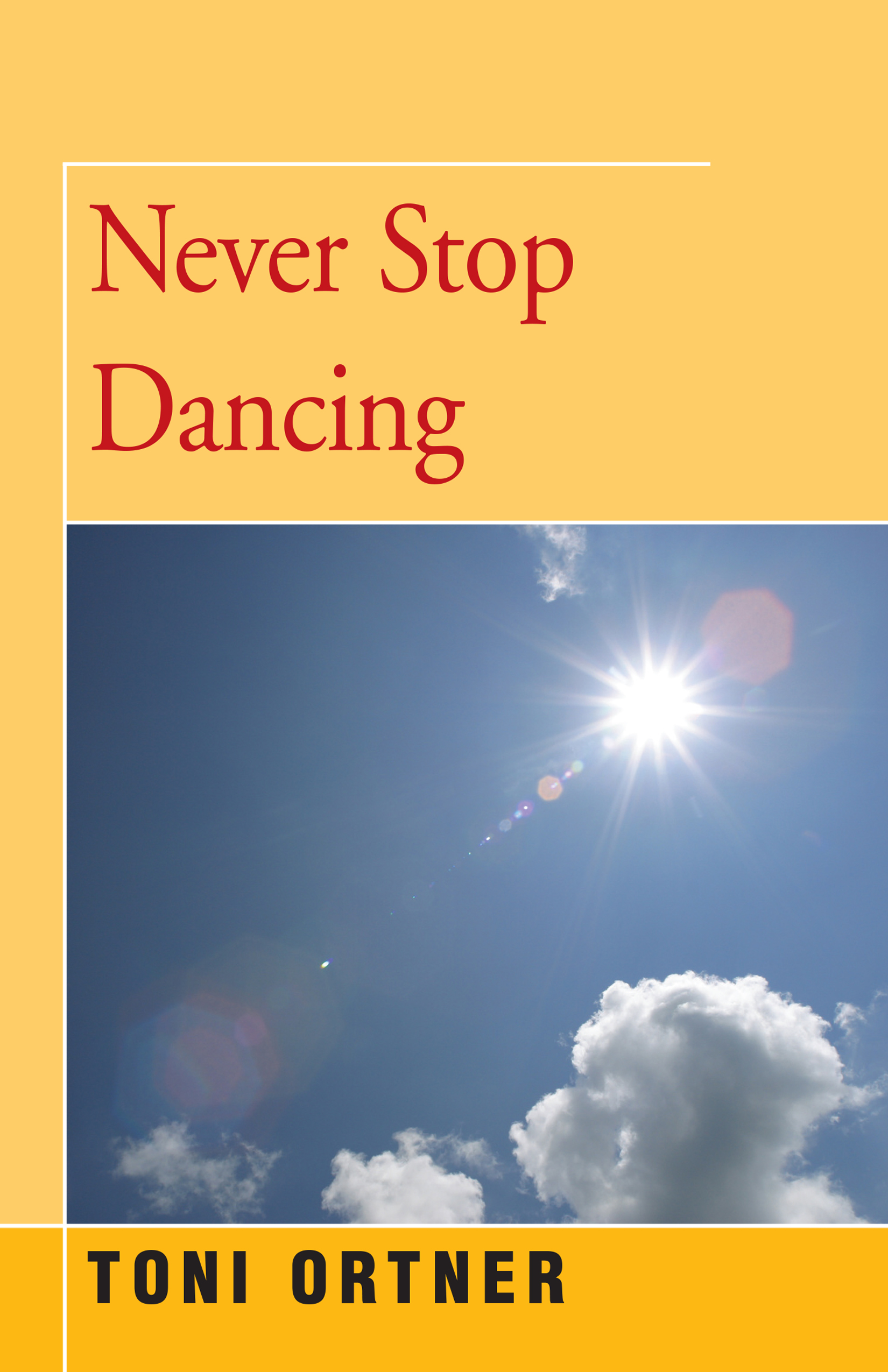 This image is the cover for the book Never Stop Dancing