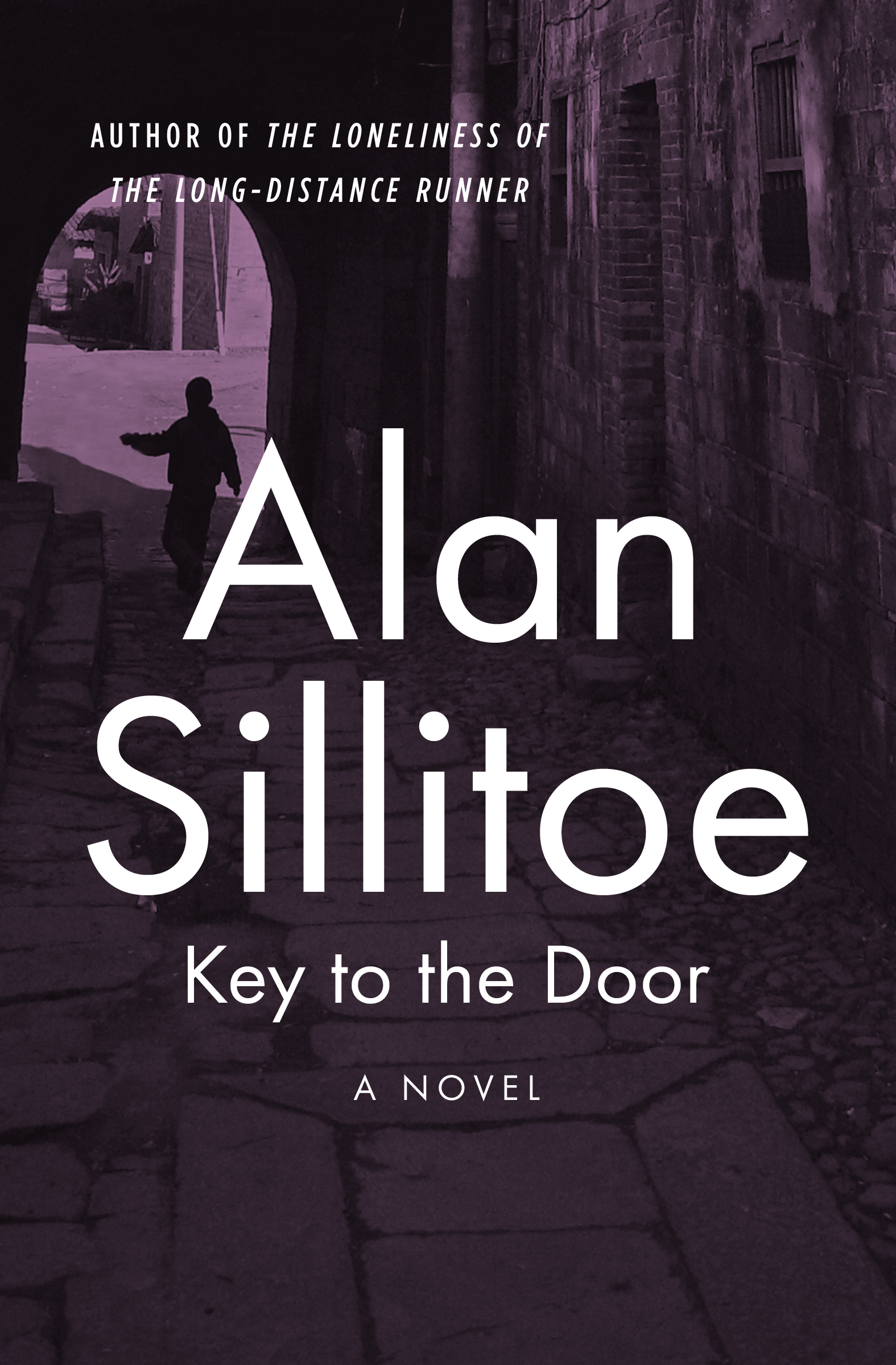 This image is the cover for the book Key to the Door, The Seaton Novels