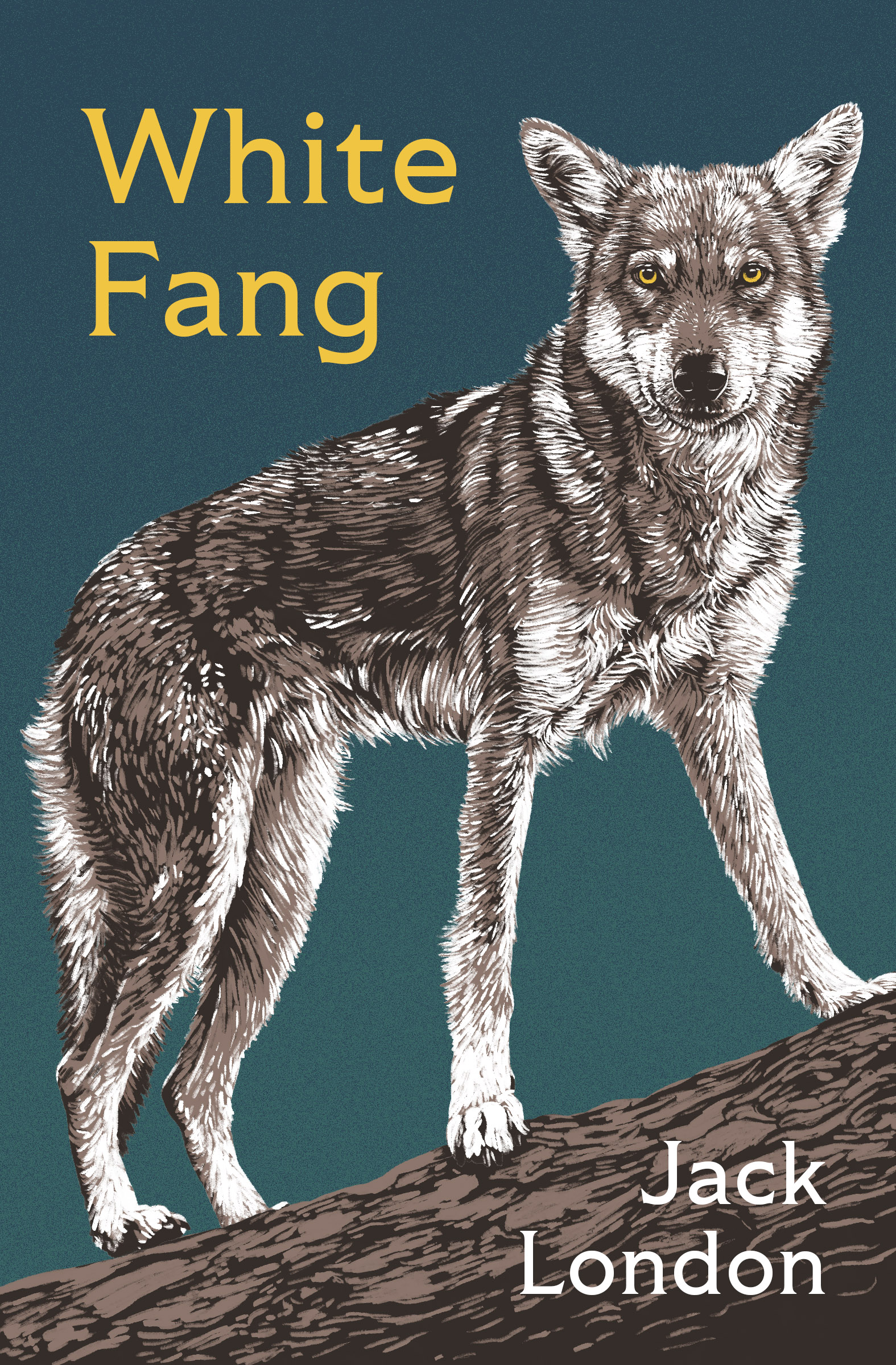 This image is the cover for the book White Fang