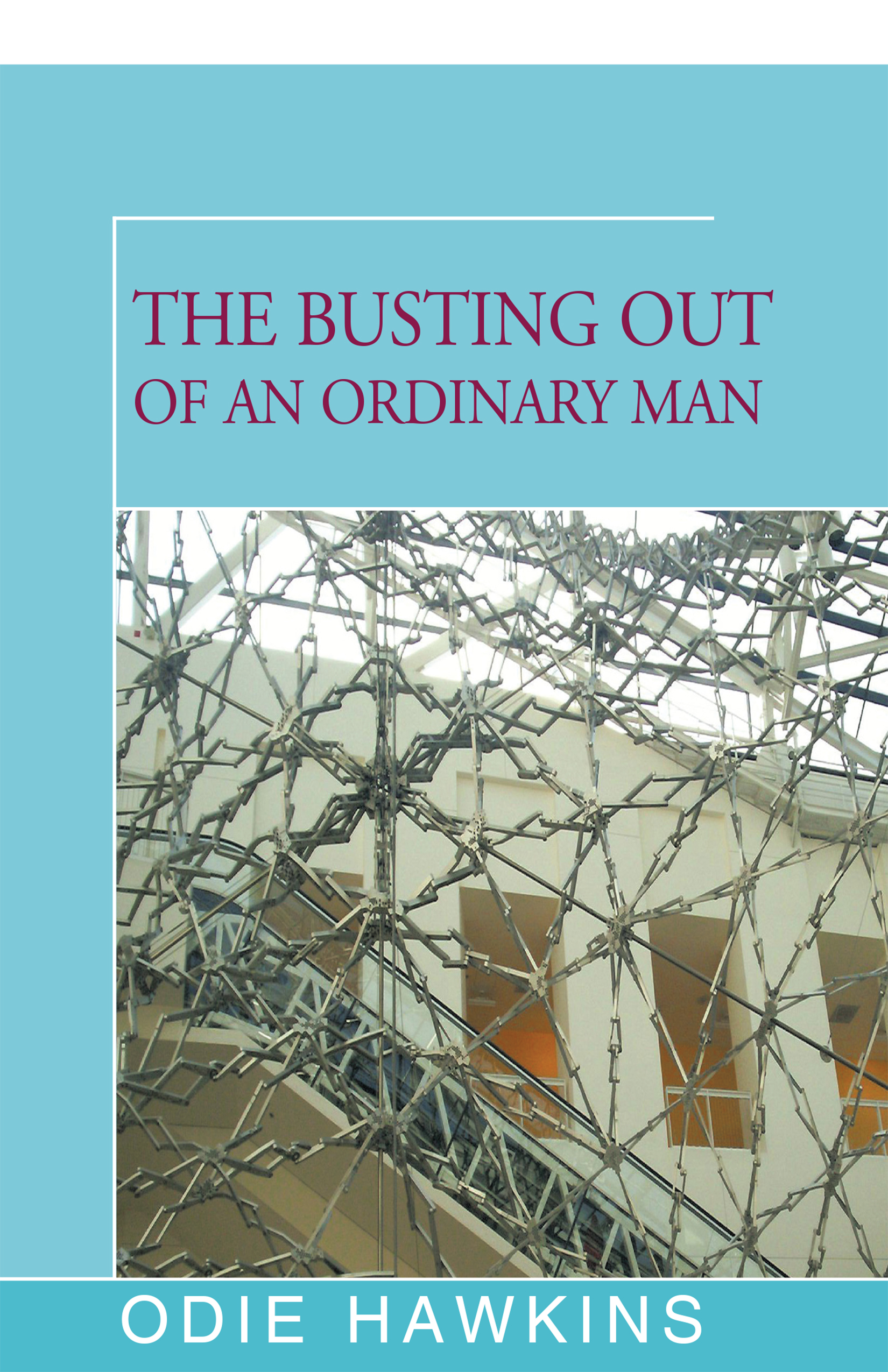 This image is the cover for the book Busting Out of an Ordinary Man