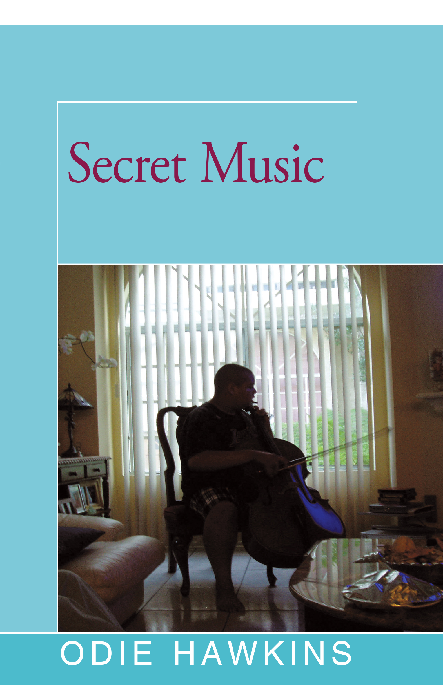 This image is the cover for the book Secret Music