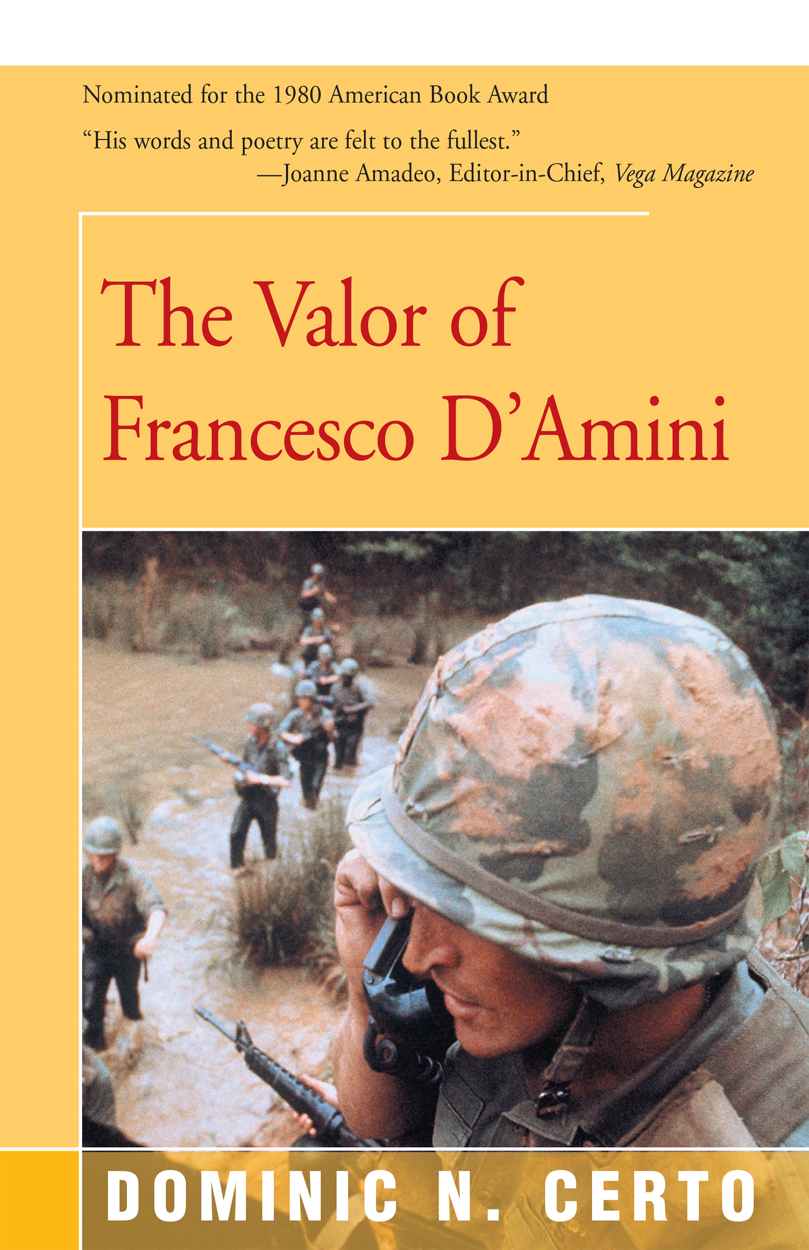 This image is the cover for the book Valor of Francesco D'Amini