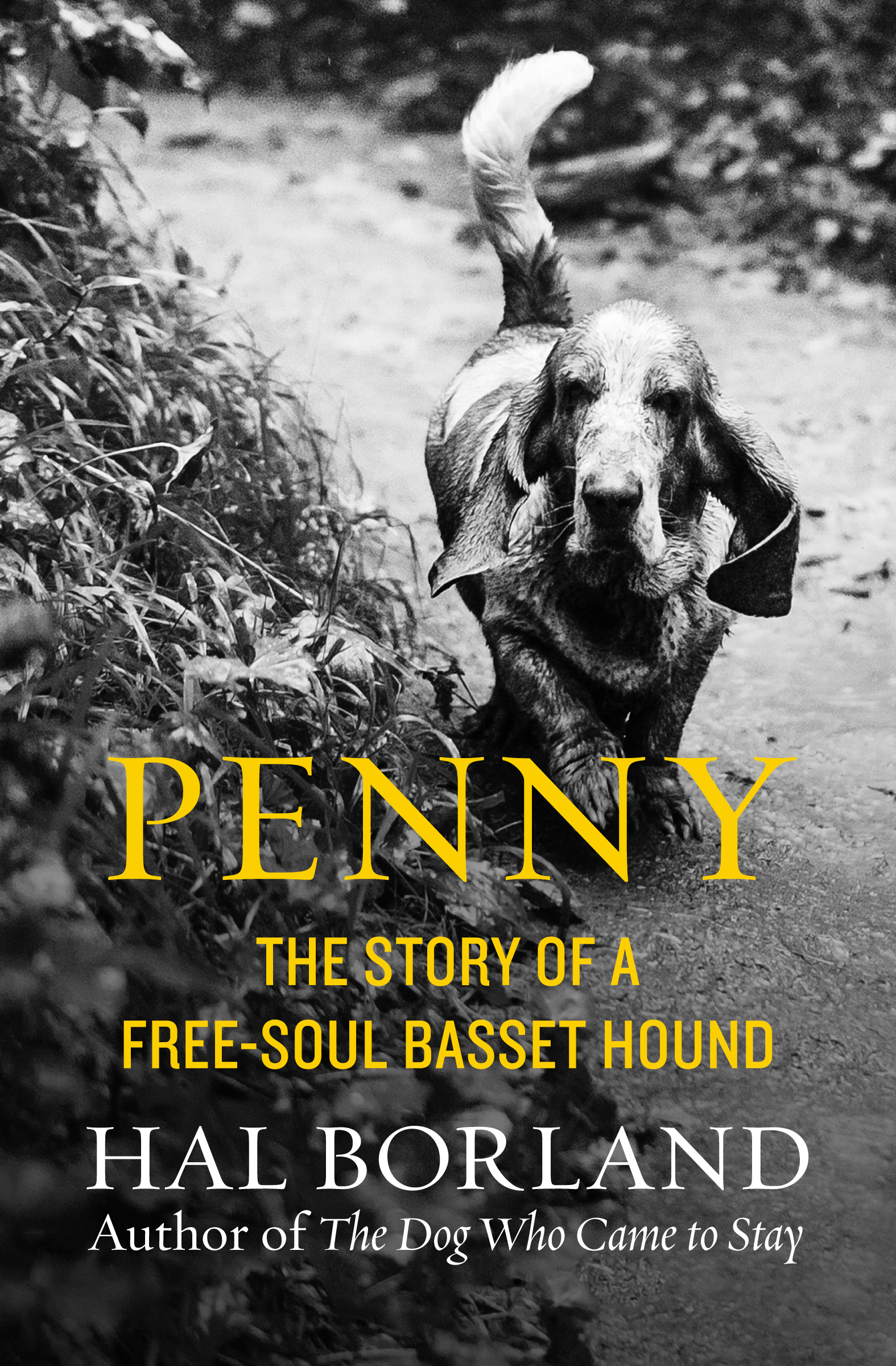 This image is the cover for the book Penny