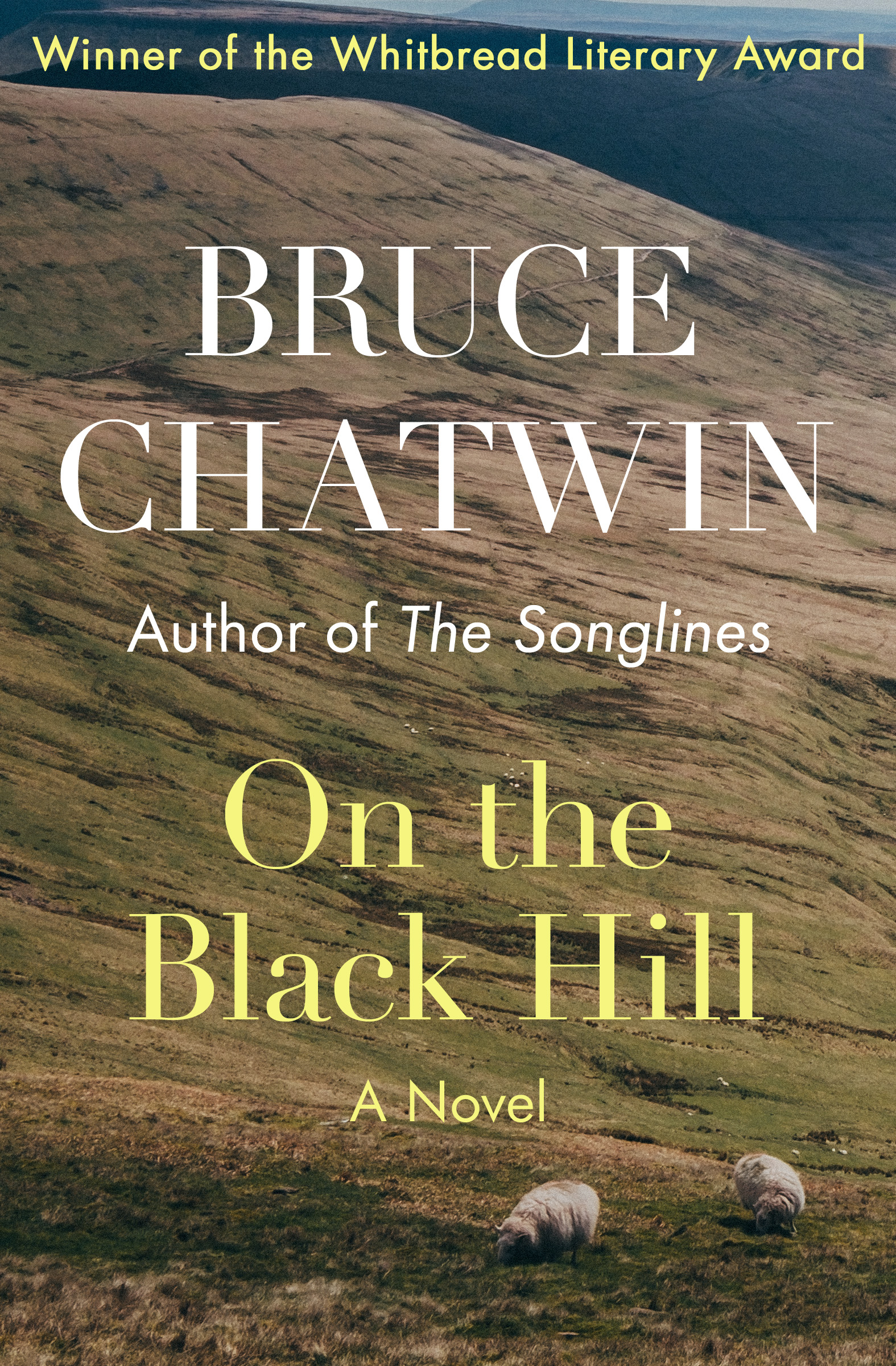 This image is the cover for the book On the Black Hill