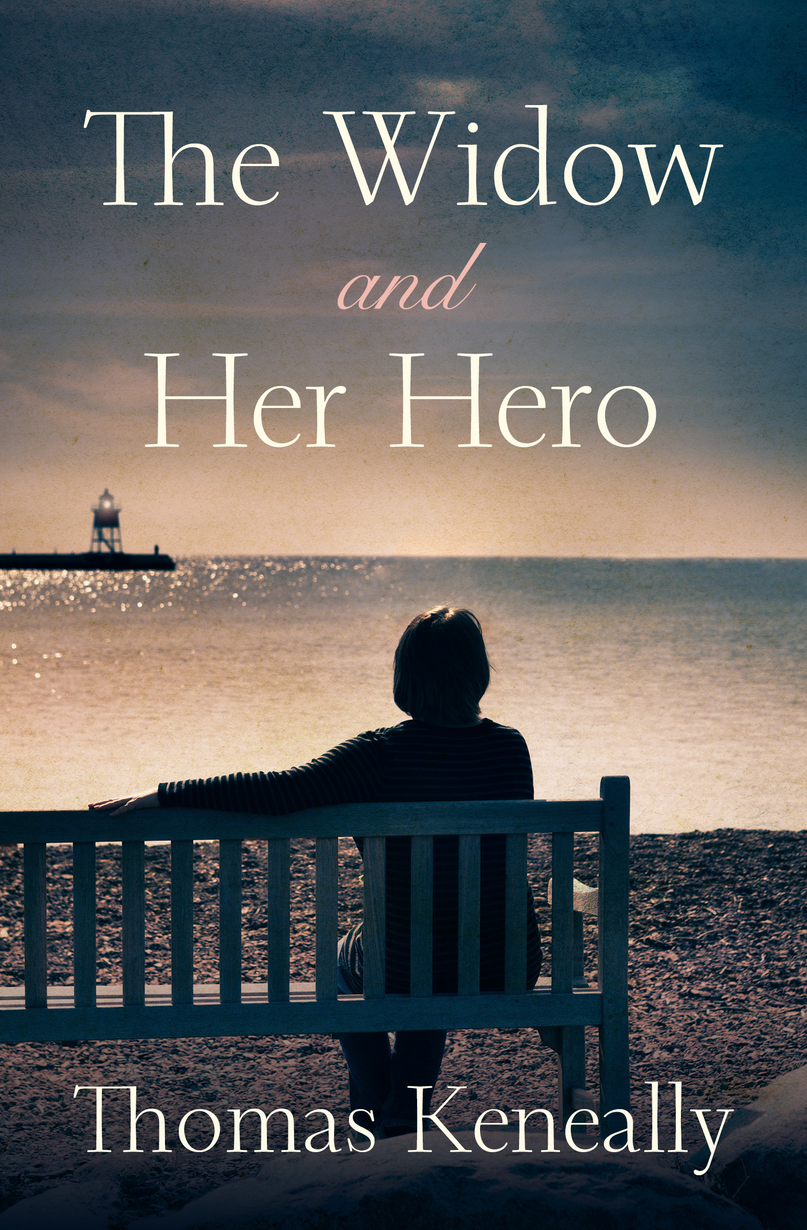 This image is the cover for the book Widow and Her Hero