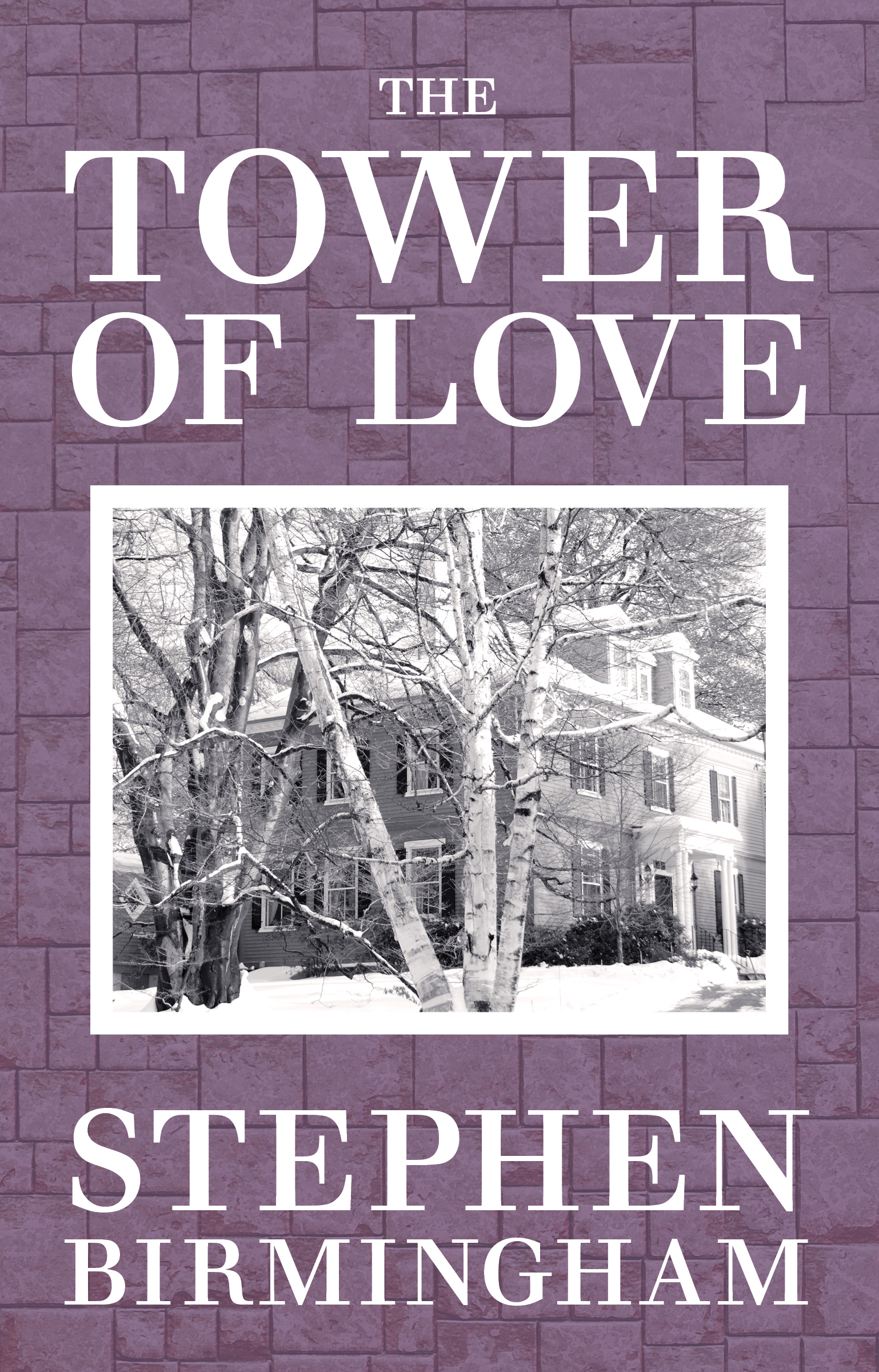 This image is the cover for the book Towers of Love