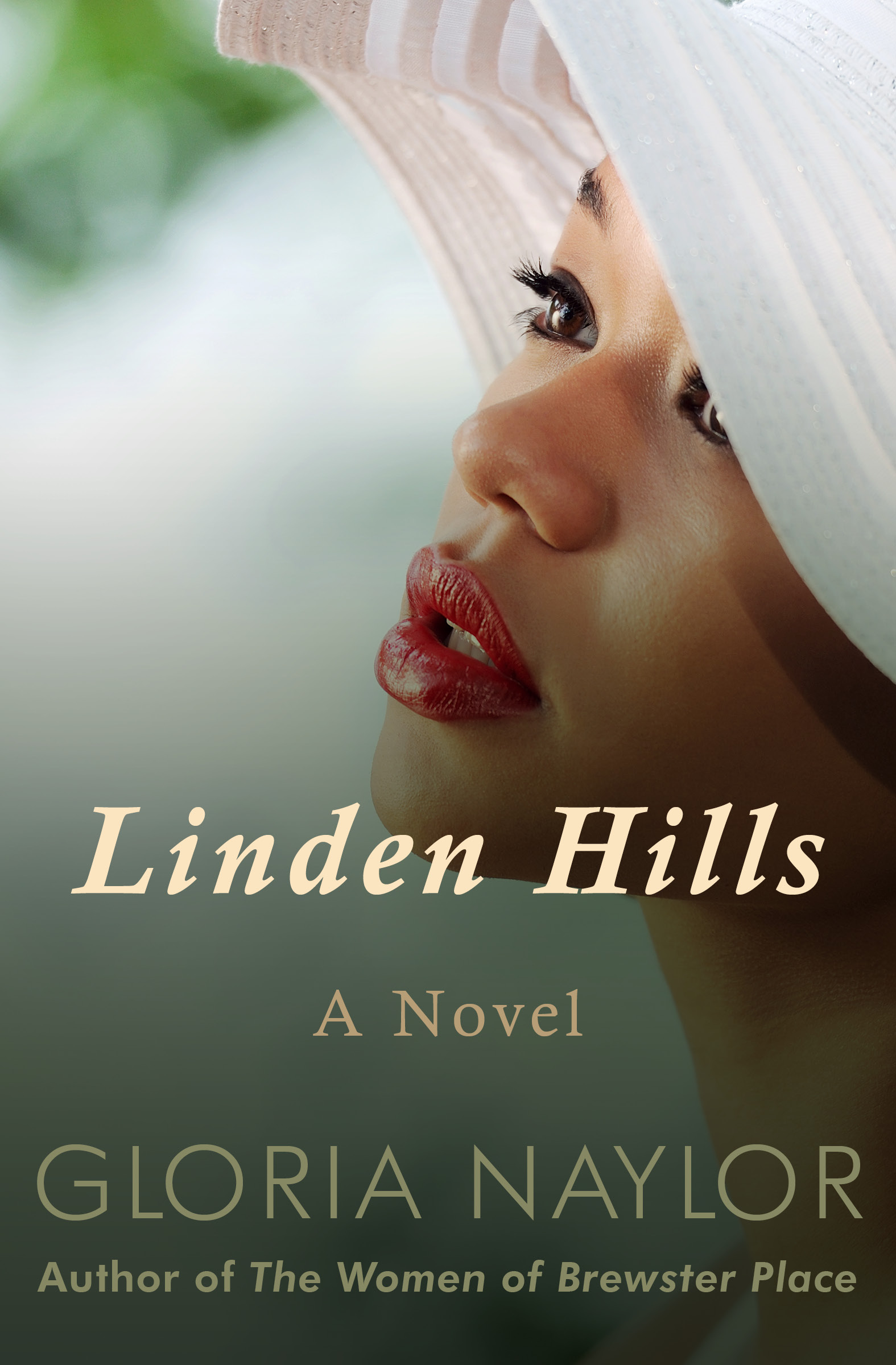 This image is the cover for the book Linden Hills