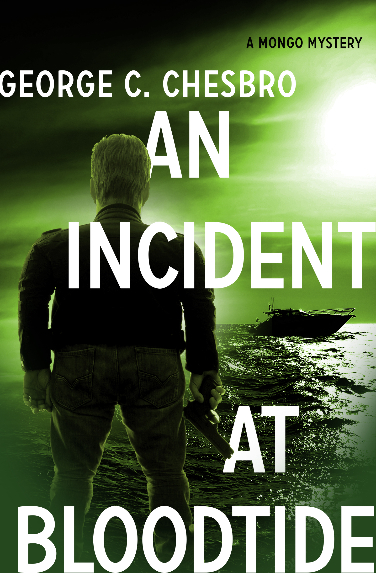 This image is the cover for the book Incident at Bloodtide, The Mongo Mysteries