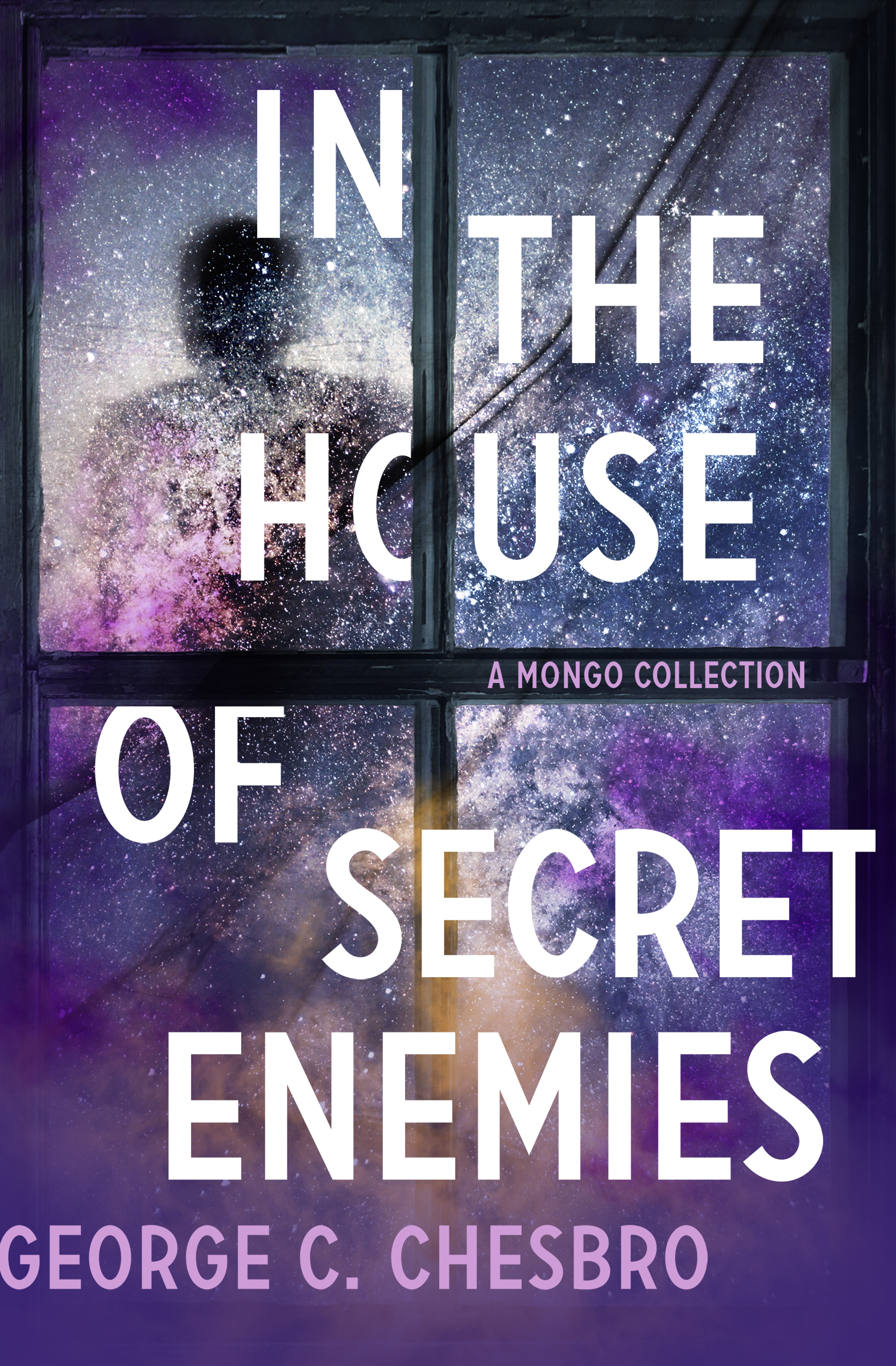 This image is the cover for the book In the House of Secret Enemies, The Mongo Mysteries