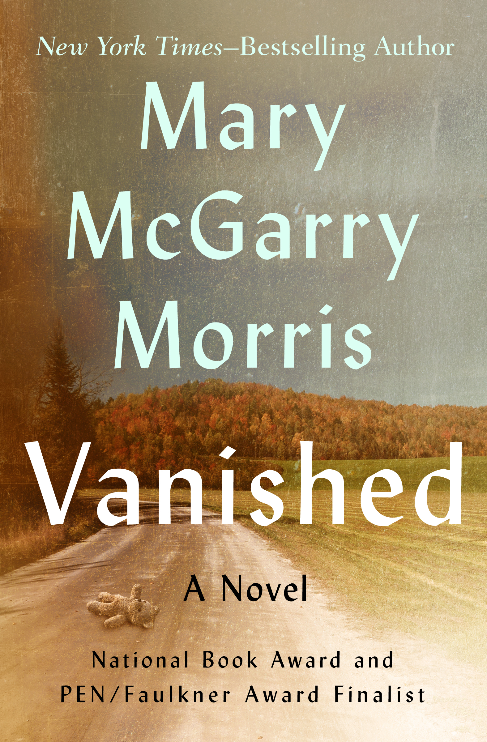 This image is the cover for the book Vanished