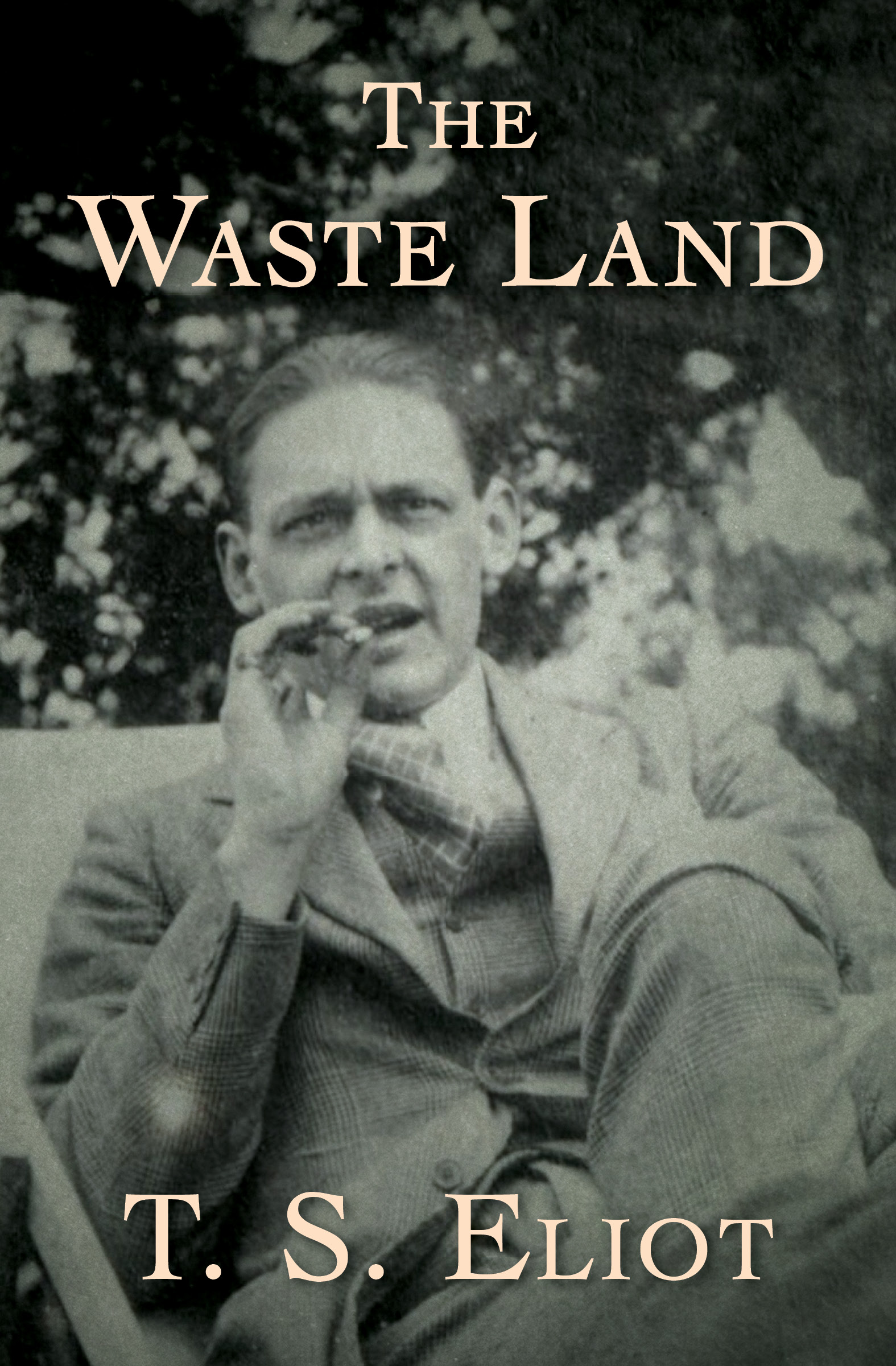 This image is the cover for the book Waste Land