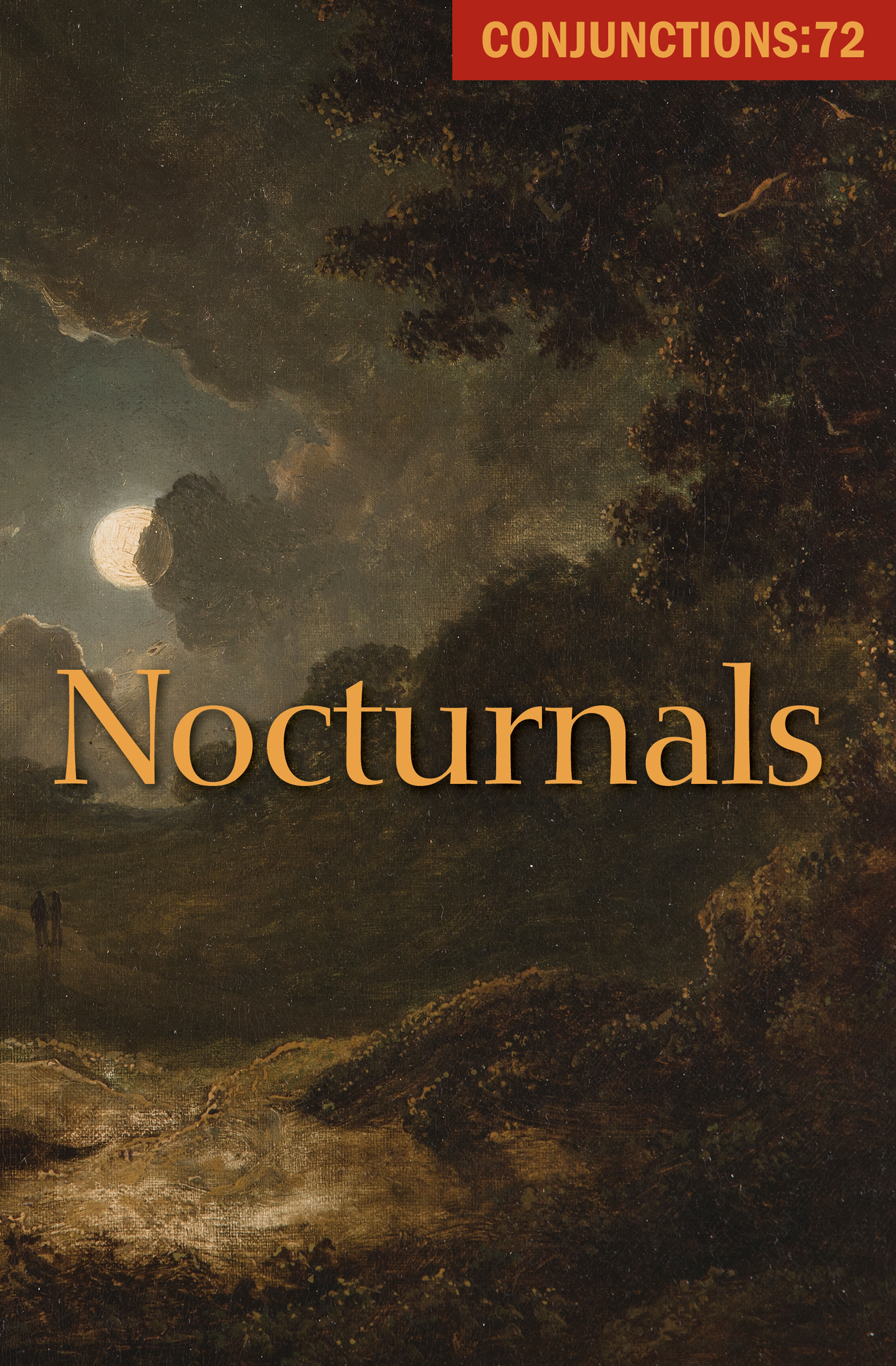 This image is the cover for the book Nocturnals, Conjunctions