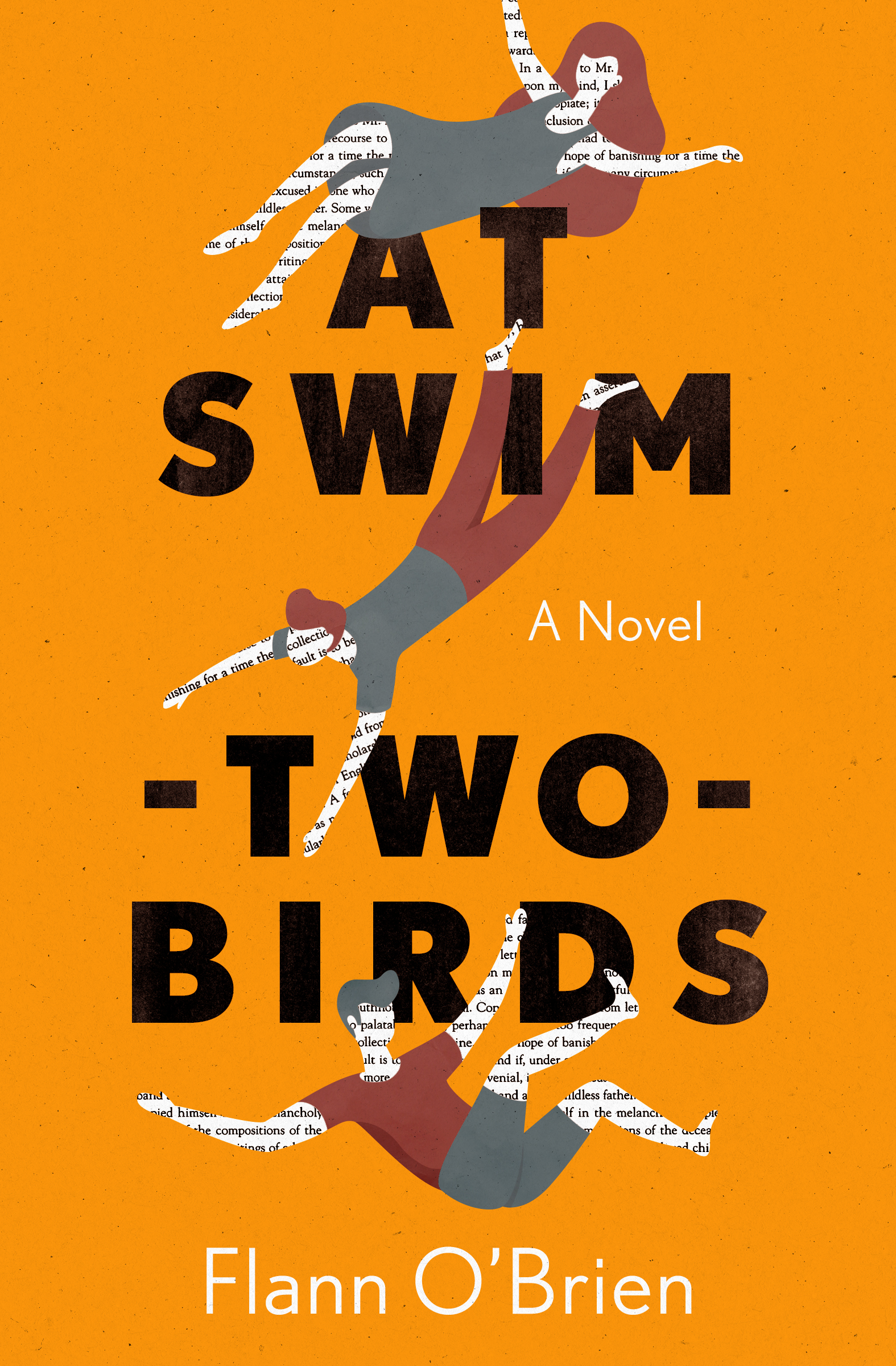 This image is the cover for the book At Swim-Two-Birds