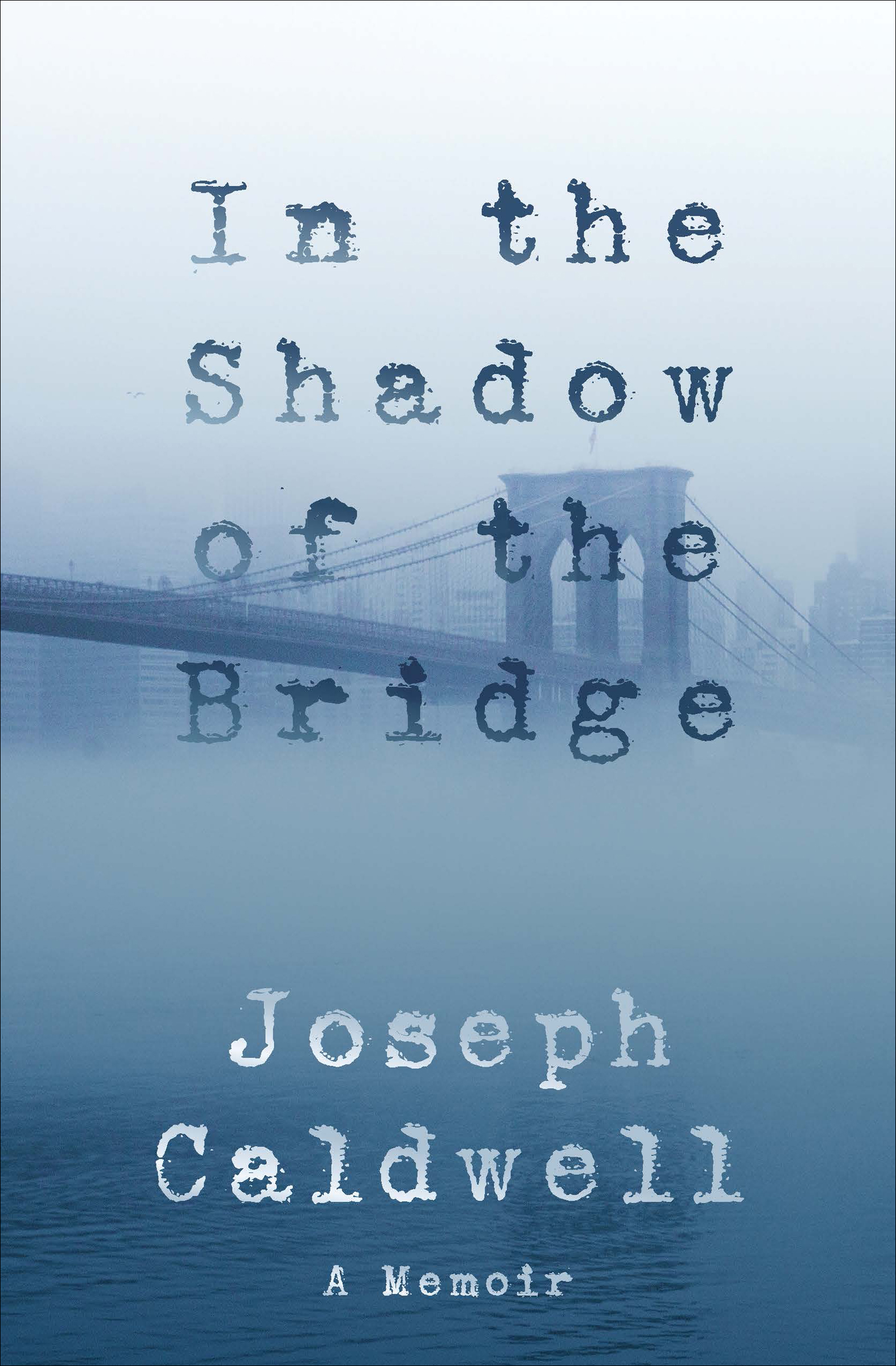 This image is the cover for the book In the Shadow of the Bridge