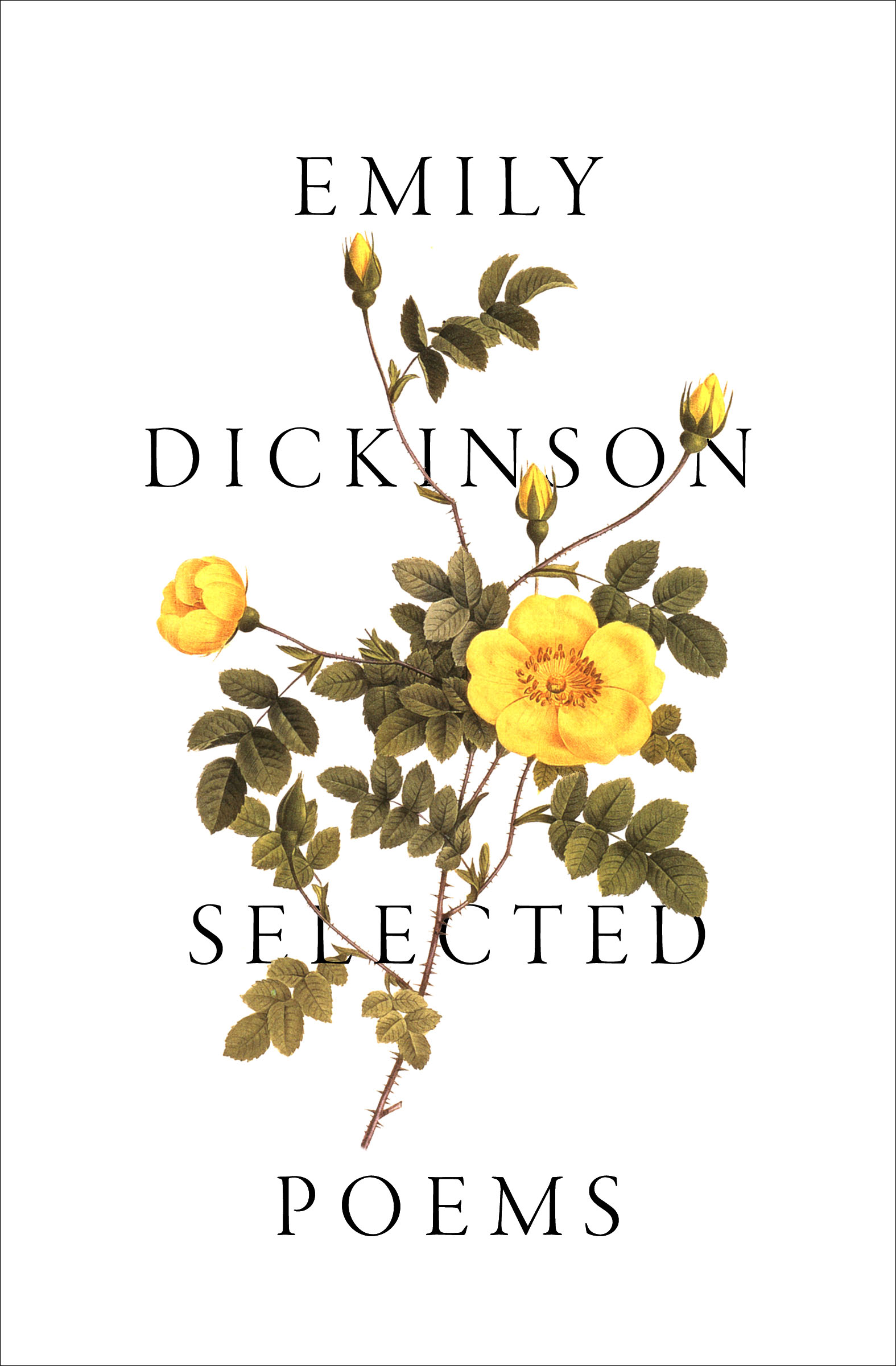 This image is the cover for the book Selected Poems