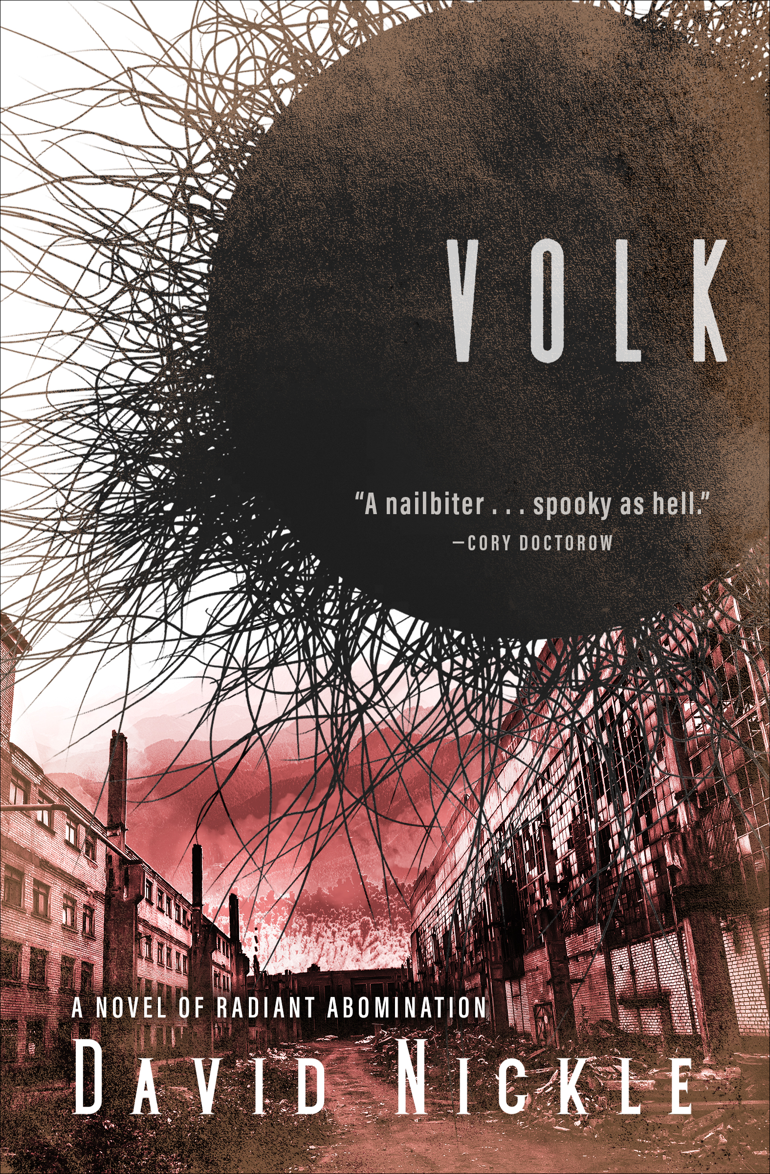 This image is the cover for the book Volk, The Book of the Juke Series