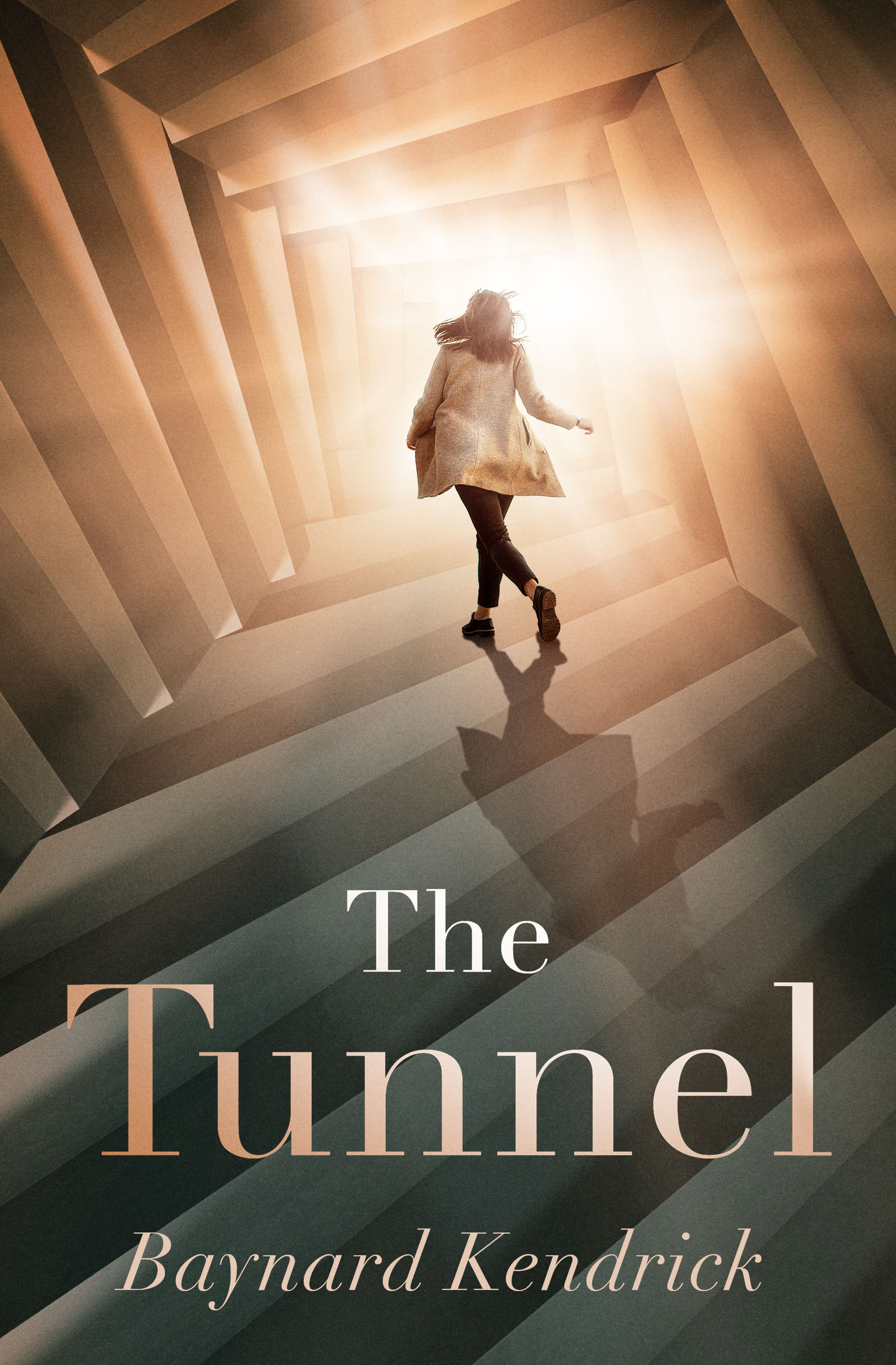 This image is the cover for the book Tunnel