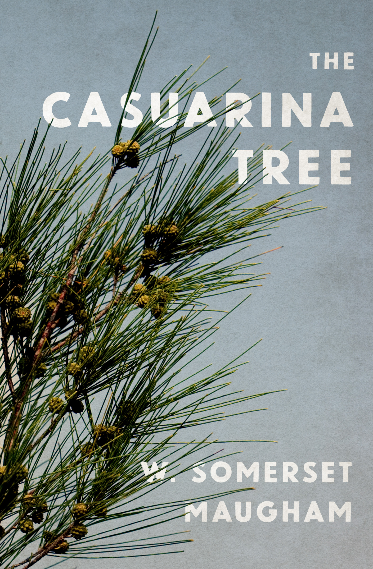 This image is the cover for the book Casuarina Tree