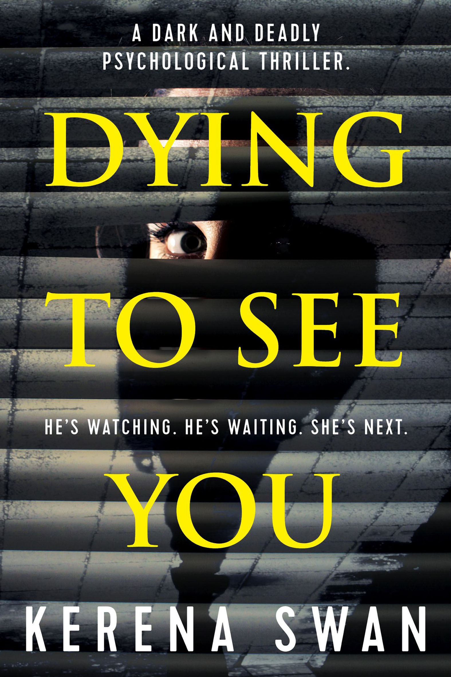 This image is the cover for the book Dying to See You