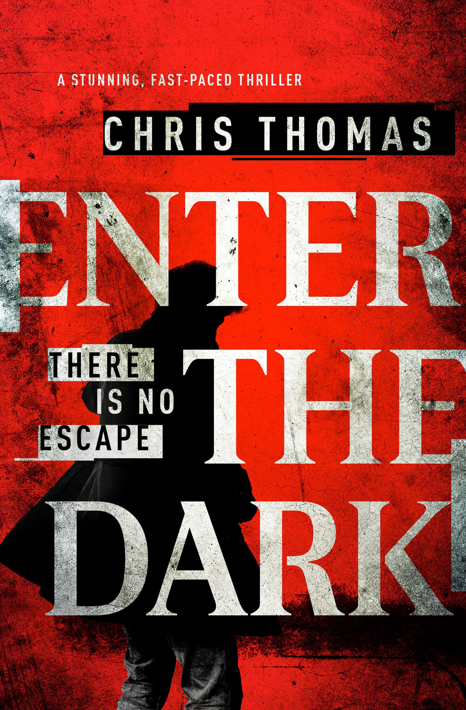 This image is the cover for the book Enter the Dark