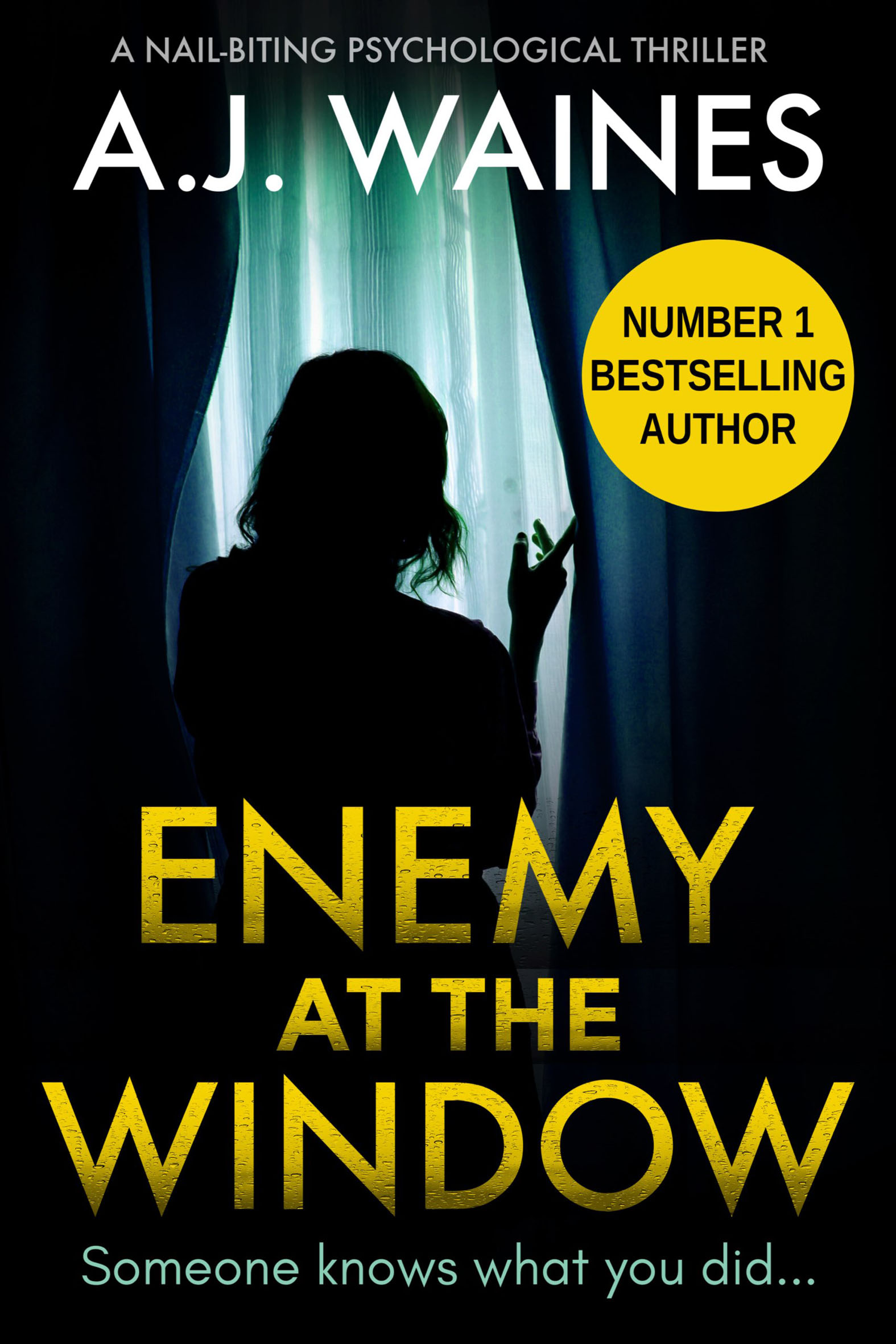 This image is the cover for the book Enemy at the Window