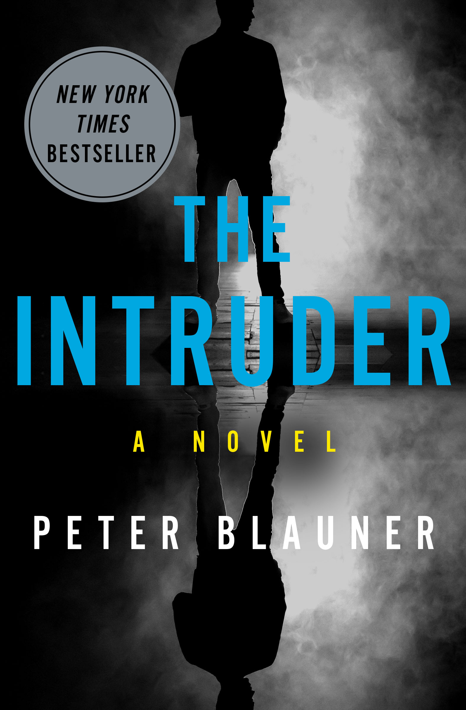 This image is the cover for the book Intruder