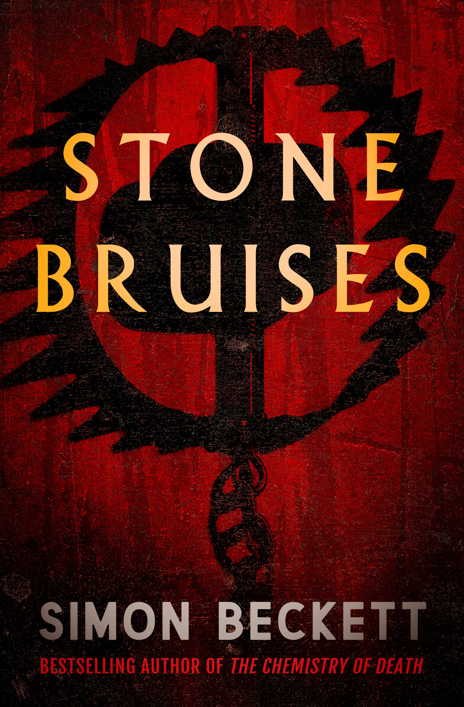 This image is the cover for the book Stone Bruises