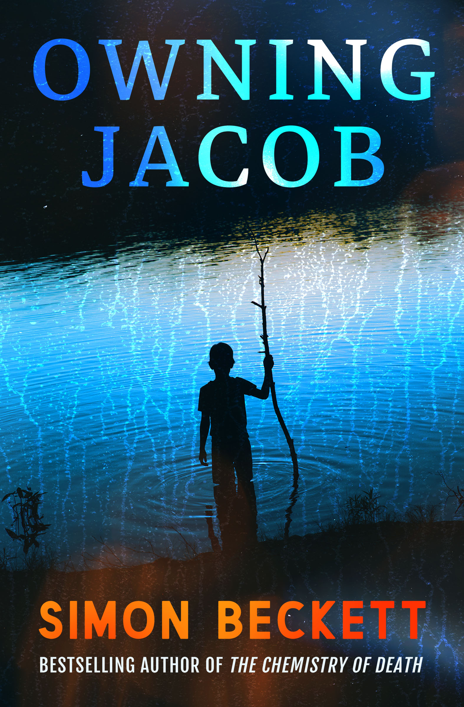 This image is the cover for the book Owning Jacob