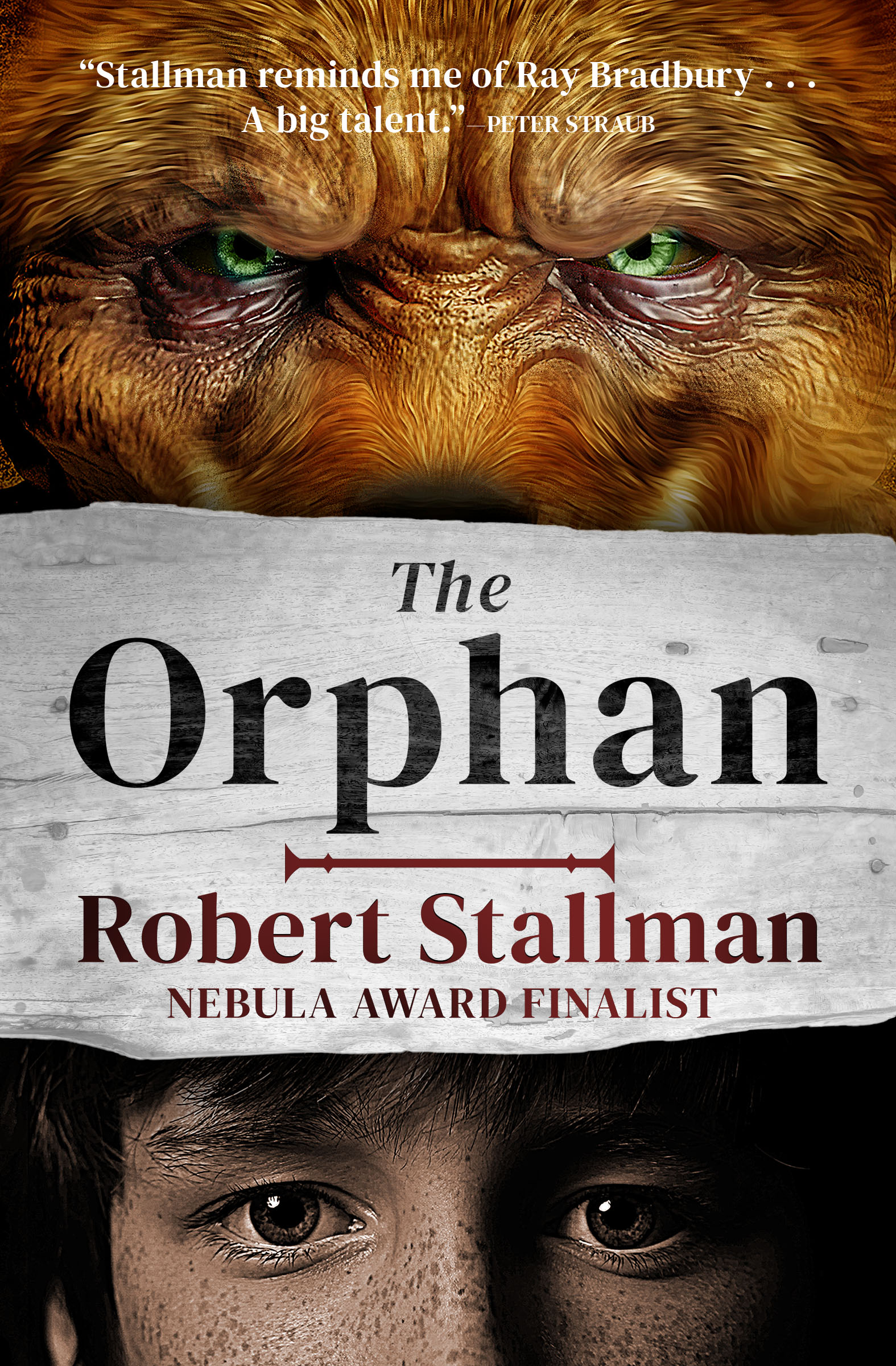 This image is the cover for the book Orphan, The Book of the Beast