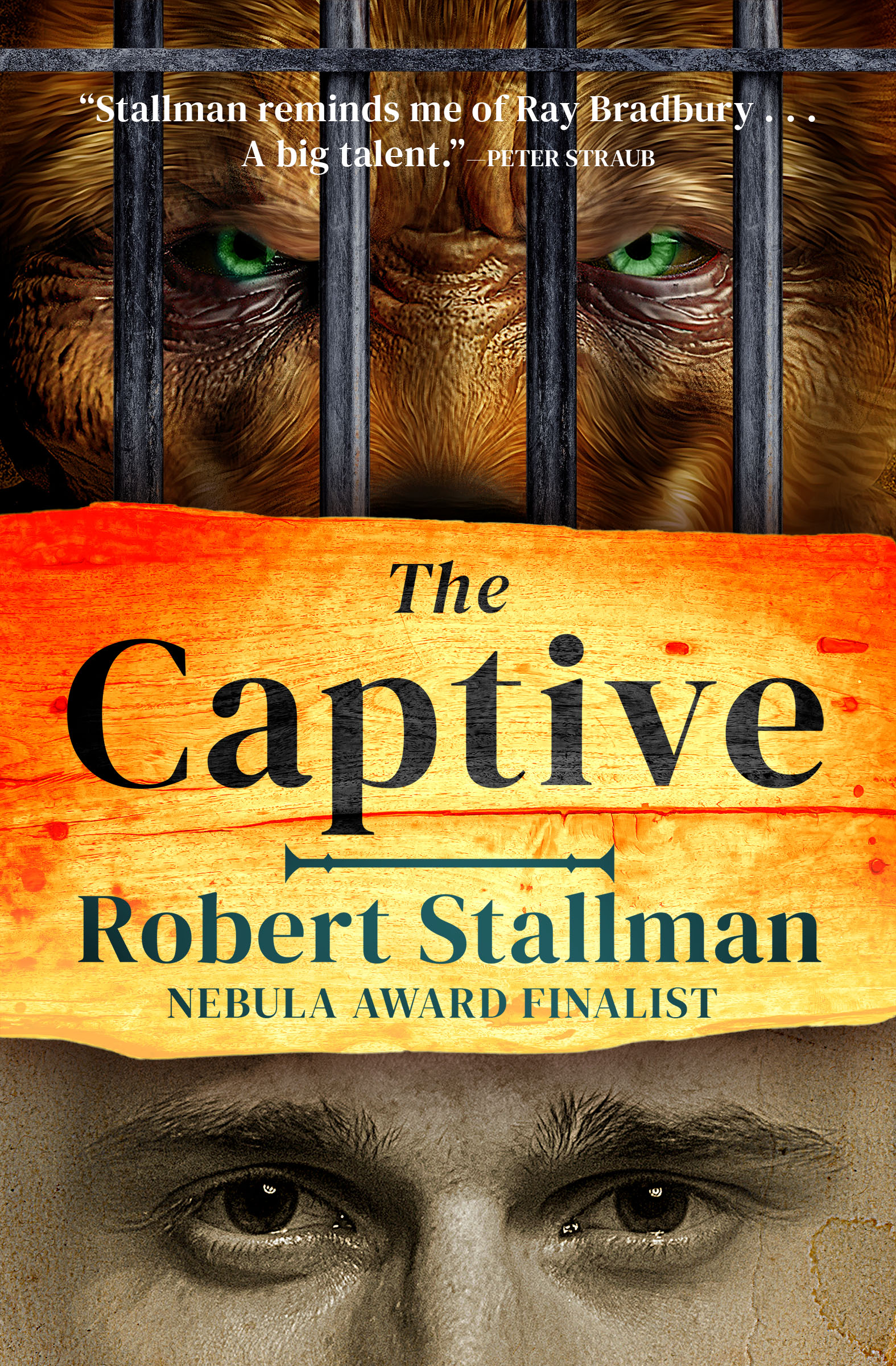 This image is the cover for the book Captive, The Book of the Beast