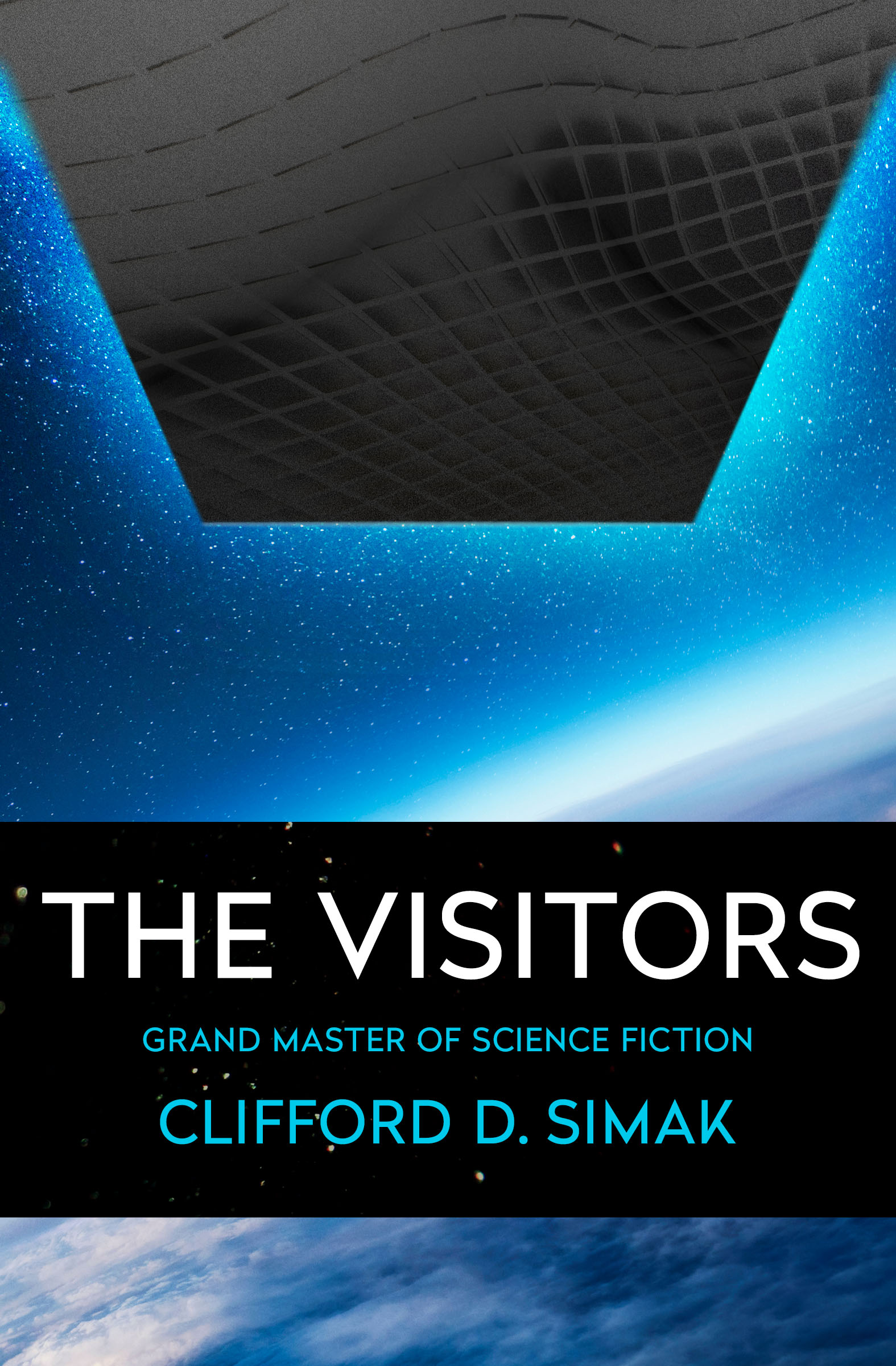 This image is the cover for the book Visitors