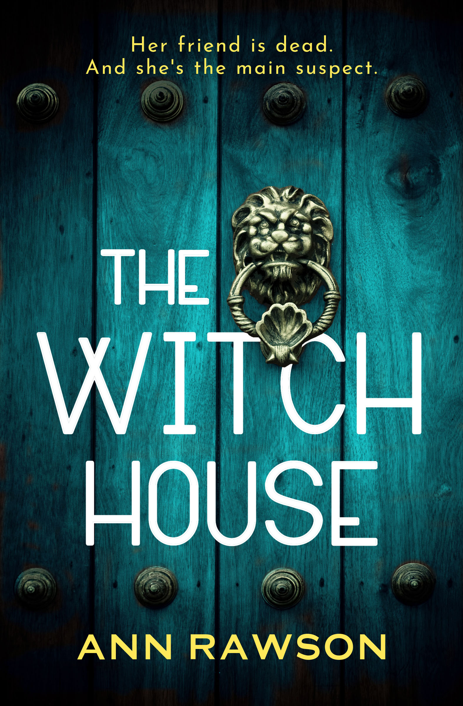 This image is the cover for the book Witch House