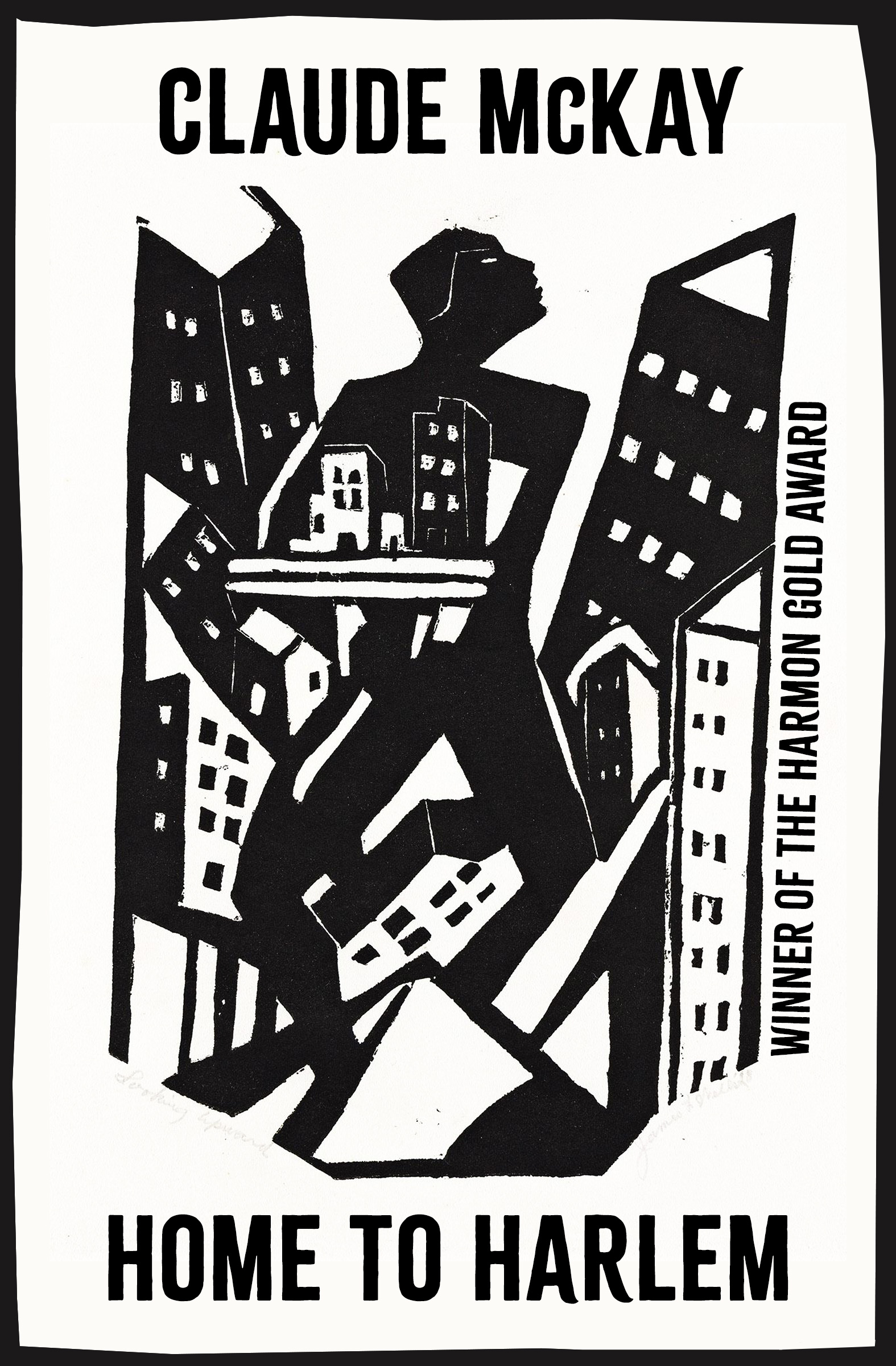 This image is the cover for the book Home to Harlem