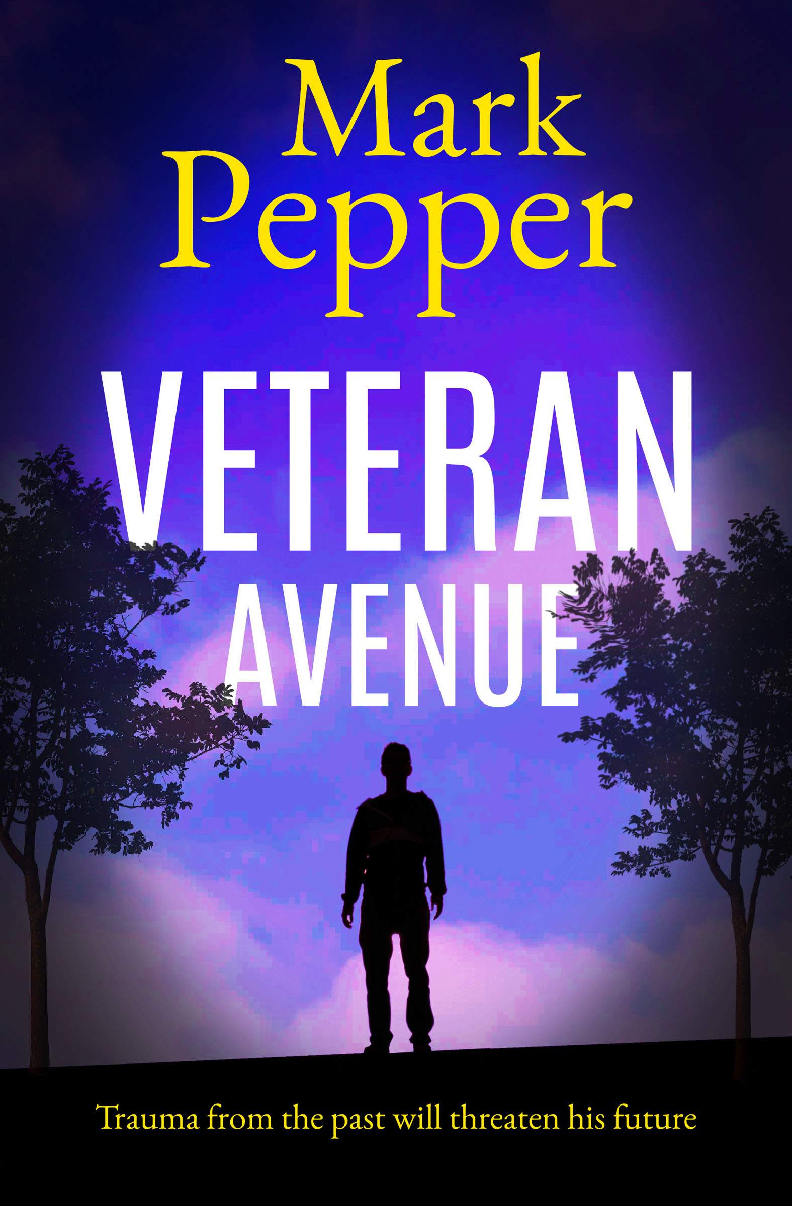 This image is the cover for the book Veteran Avenue