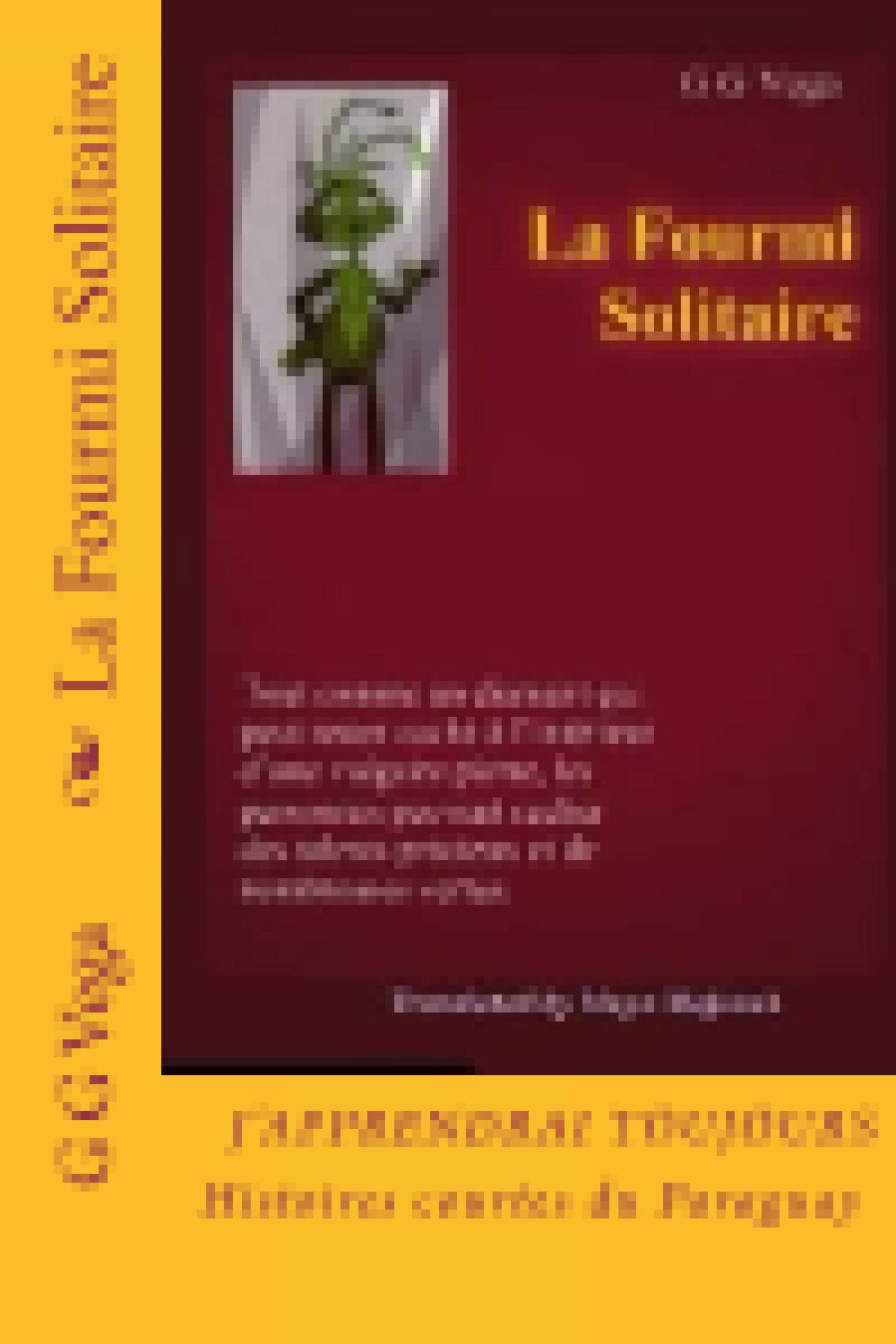 This image is the cover for the book La fourmi solitaire