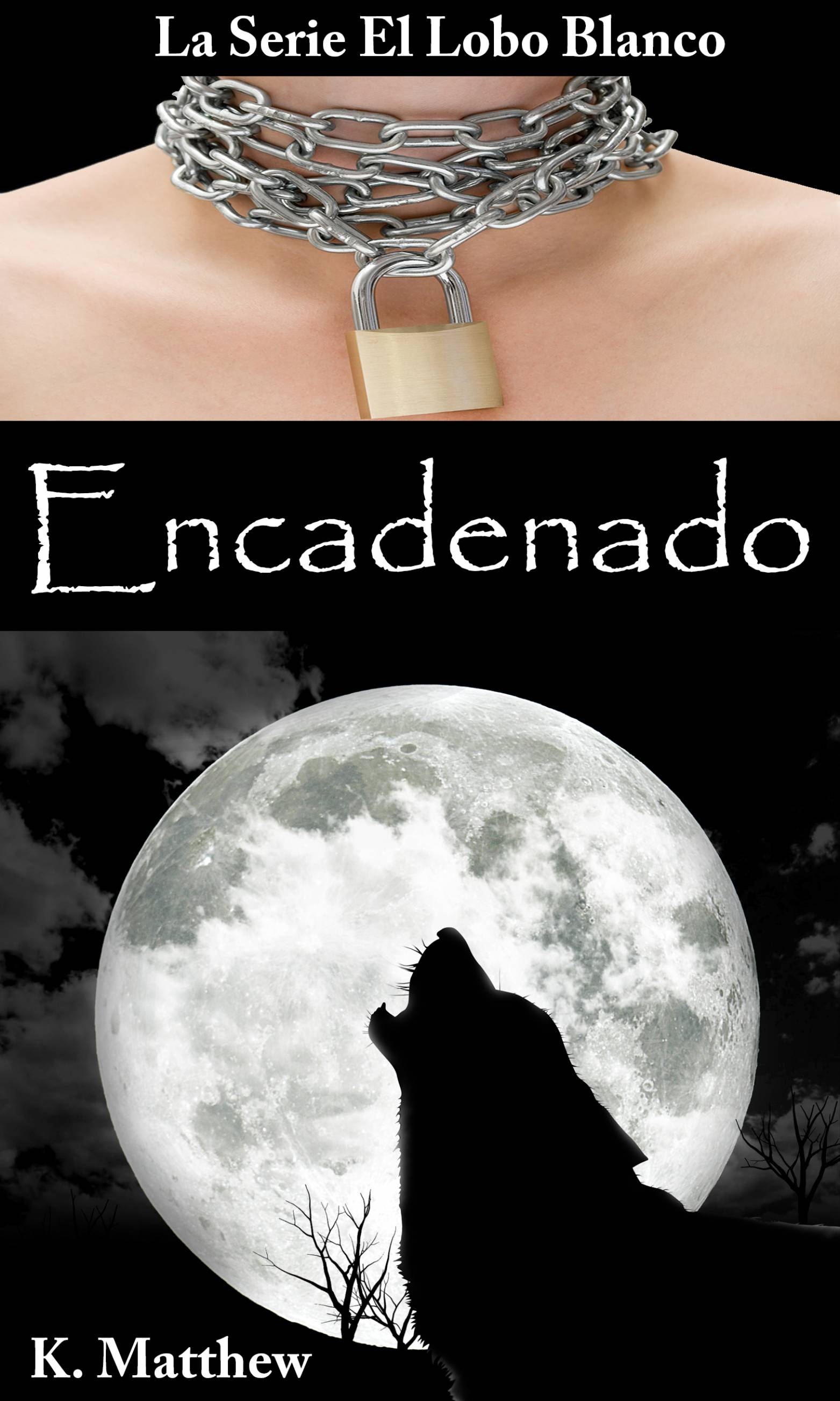 This image is the cover for the book Encadenado