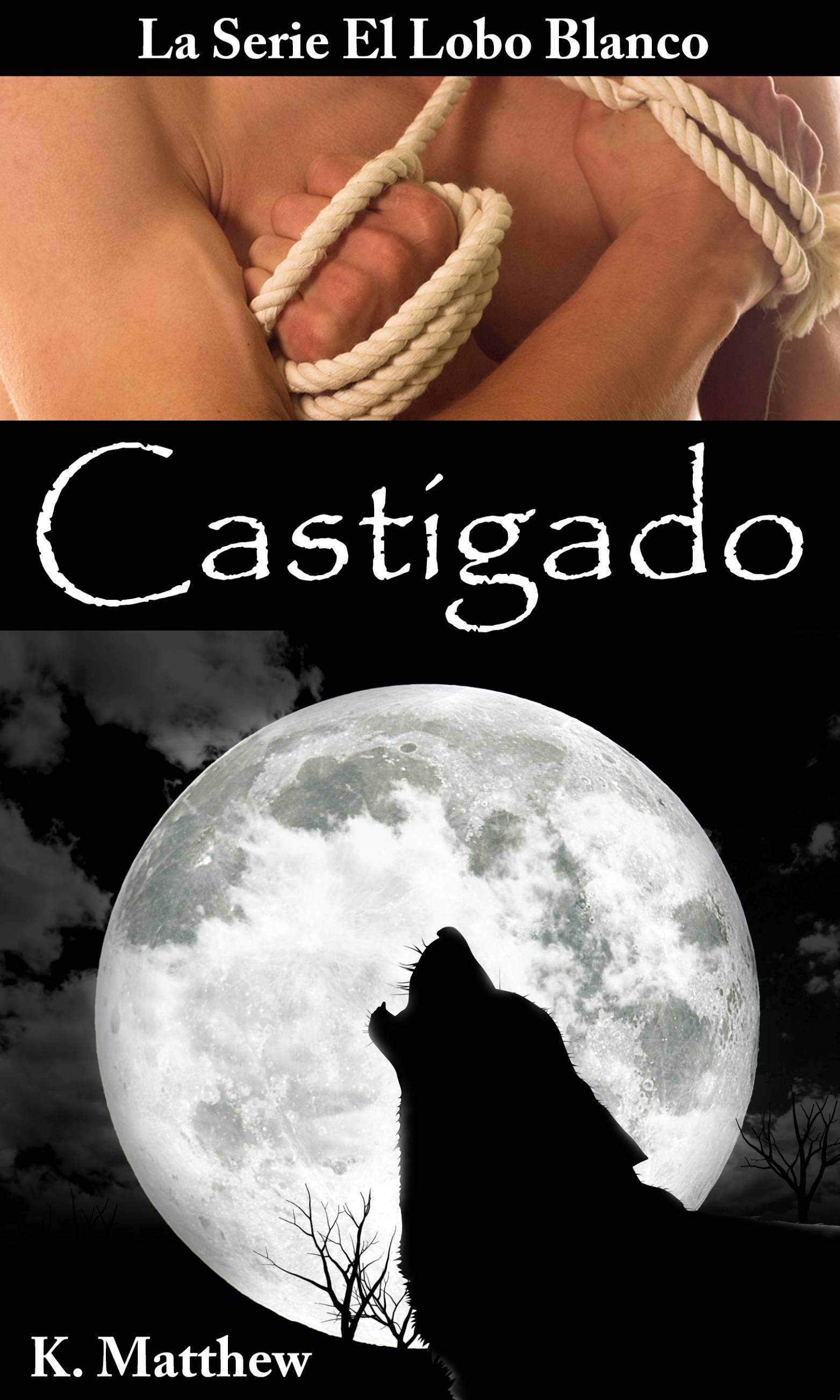 This image is the cover for the book Castigado