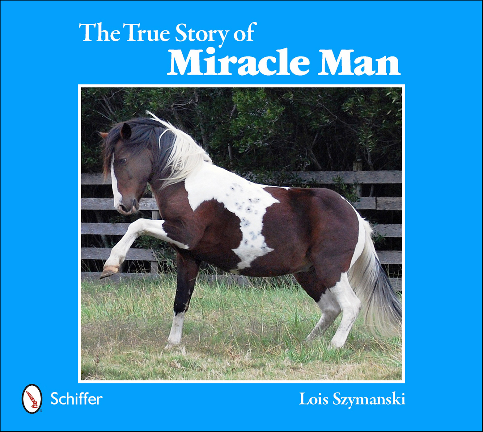 This image is the cover for the book True Story of Miracle Man