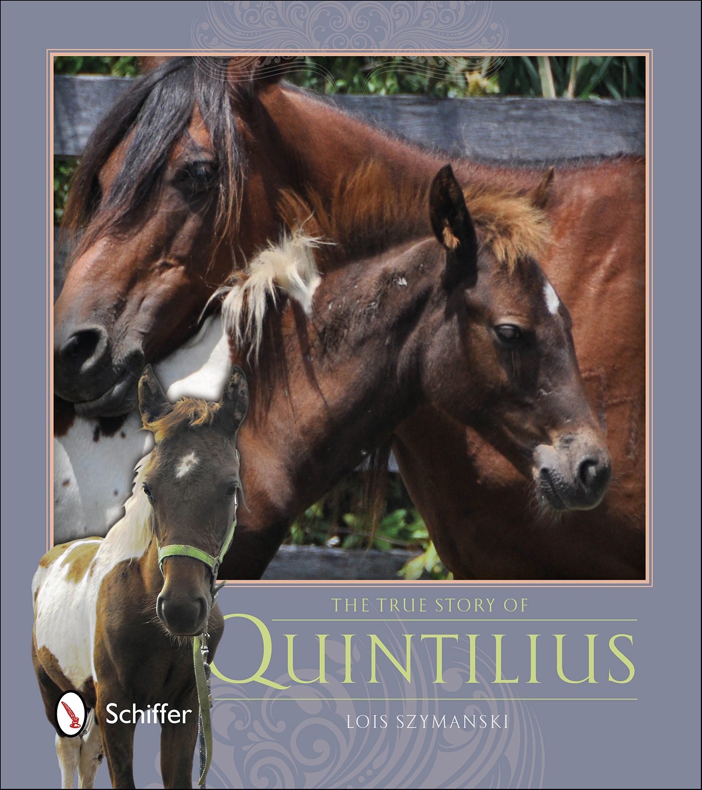 This image is the cover for the book True Story of Quintilius