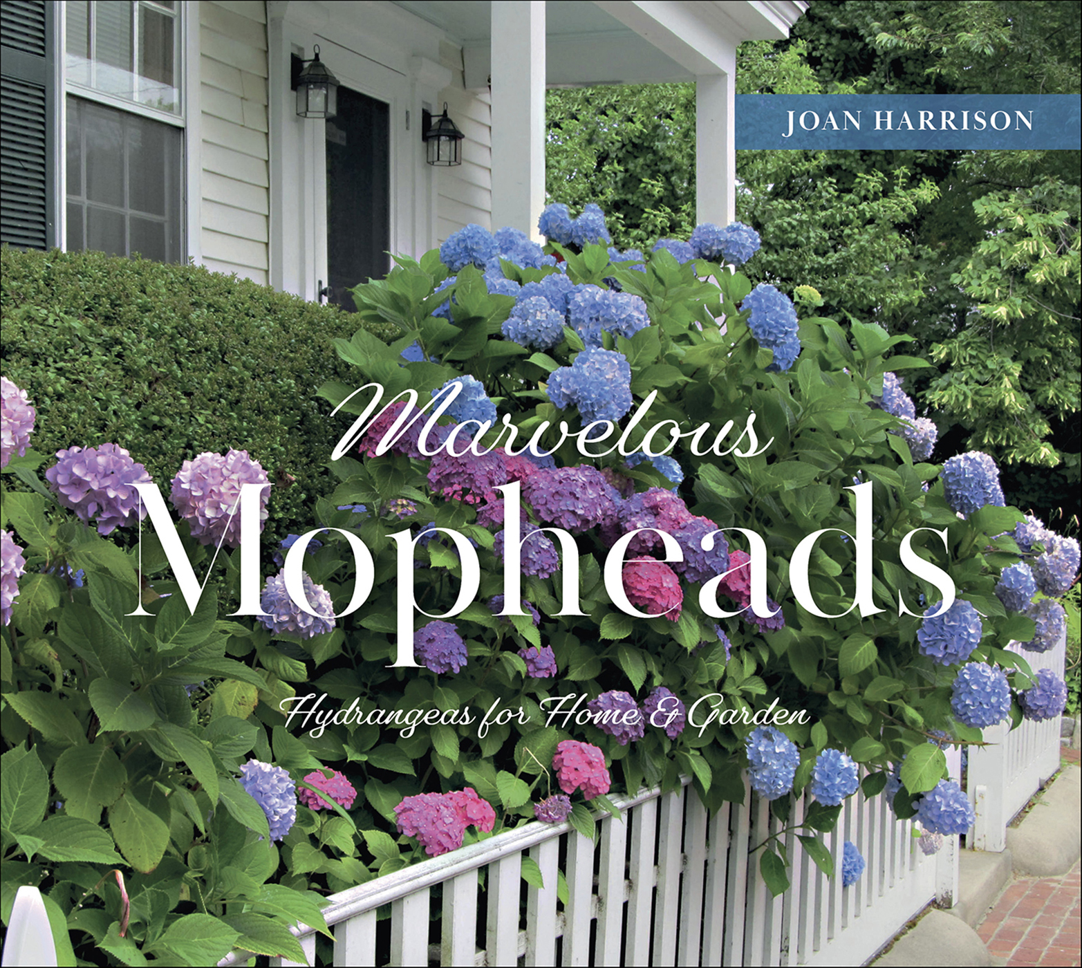 This image is the cover for the book Marvelous Mopheads