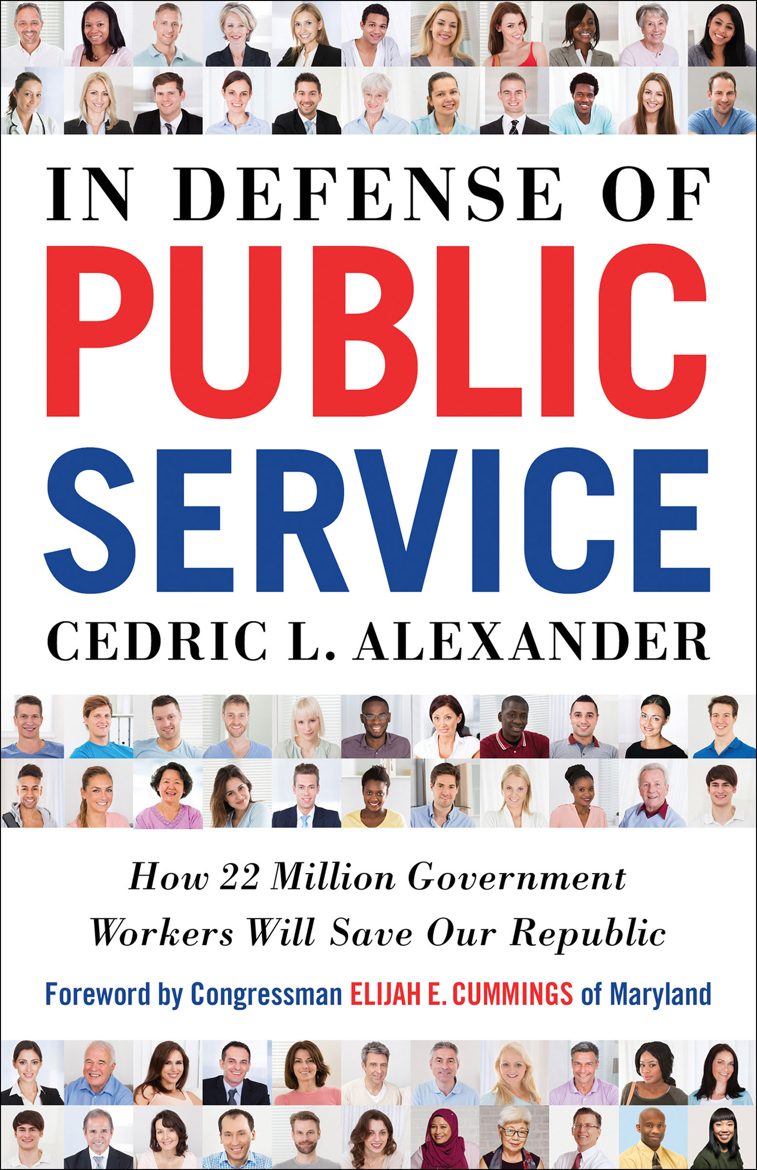This image is the cover for the book In Defense of Public Service