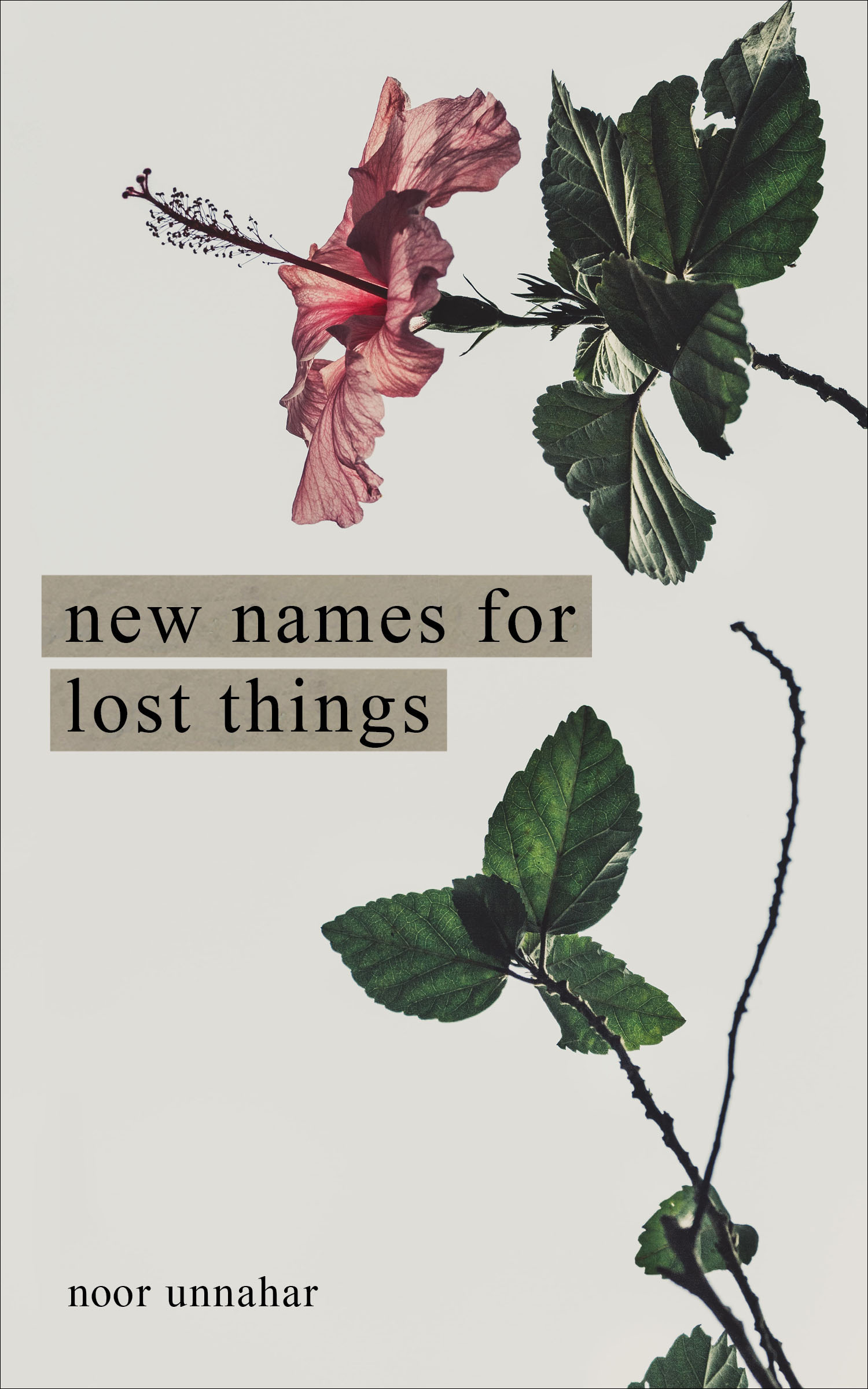 This image is the cover for the book New Names for Lost Things