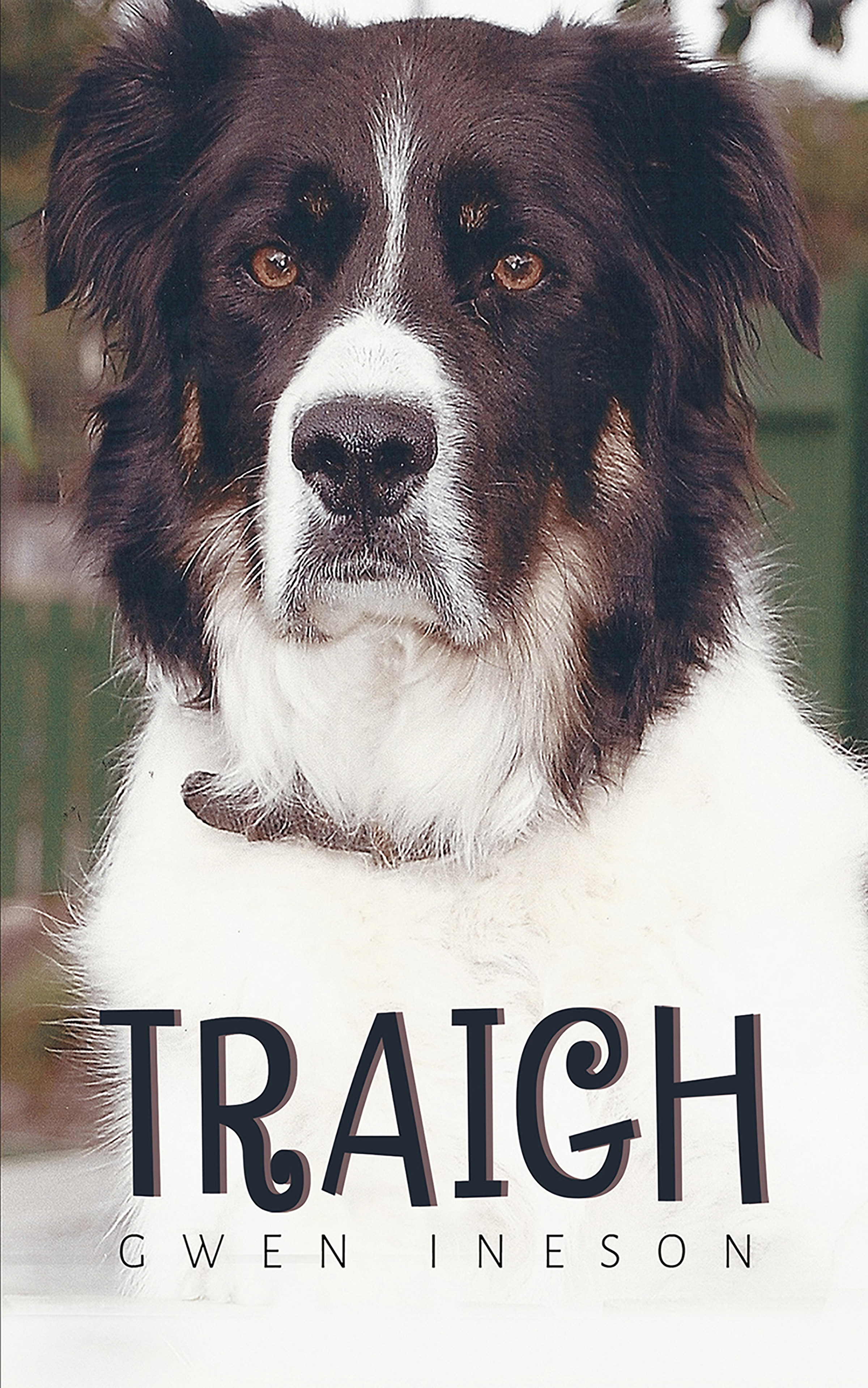 This image is the cover for the book Traigh