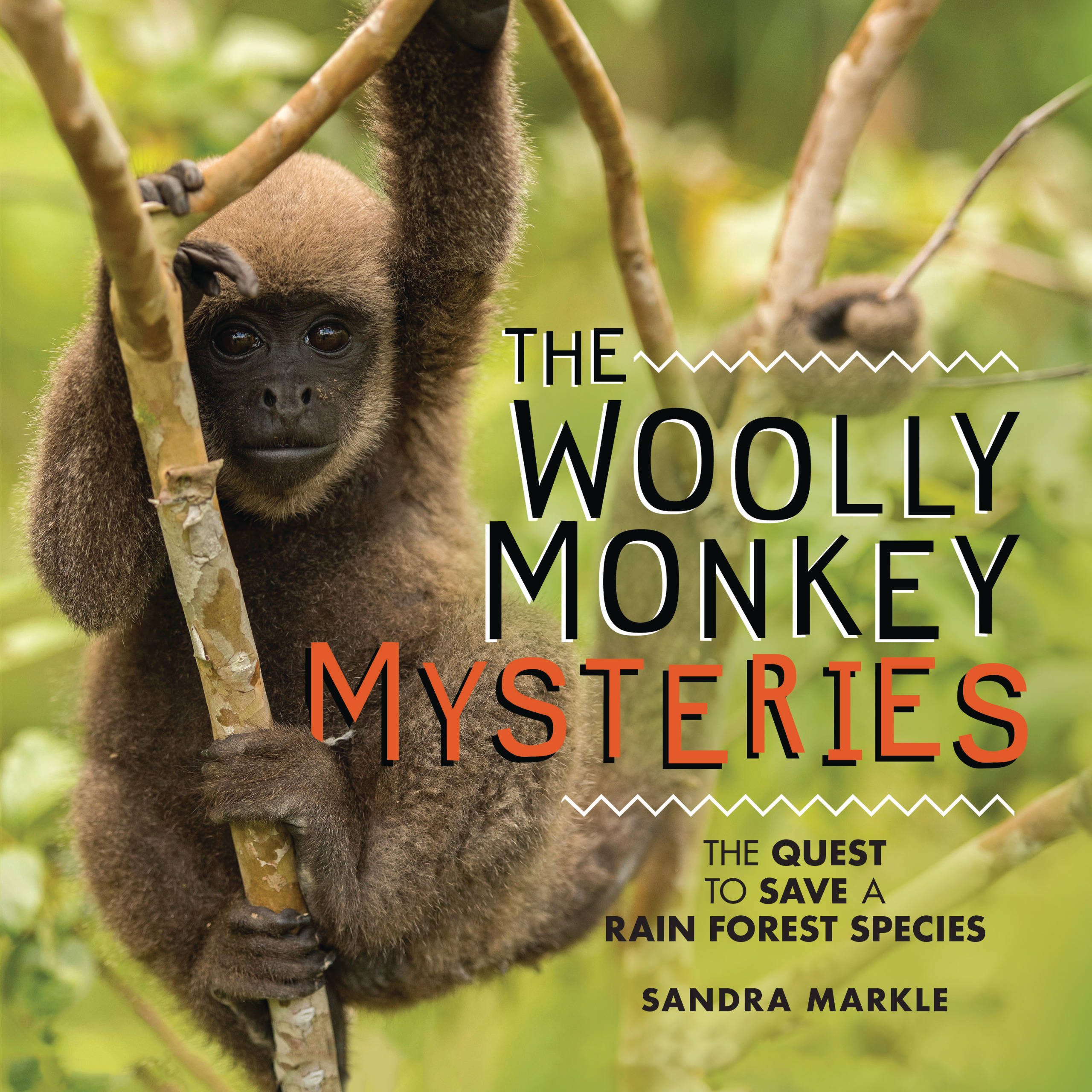 This image is the cover for the book Woolly Monkey Mysteries, Sandra Markle's Science Discoveries