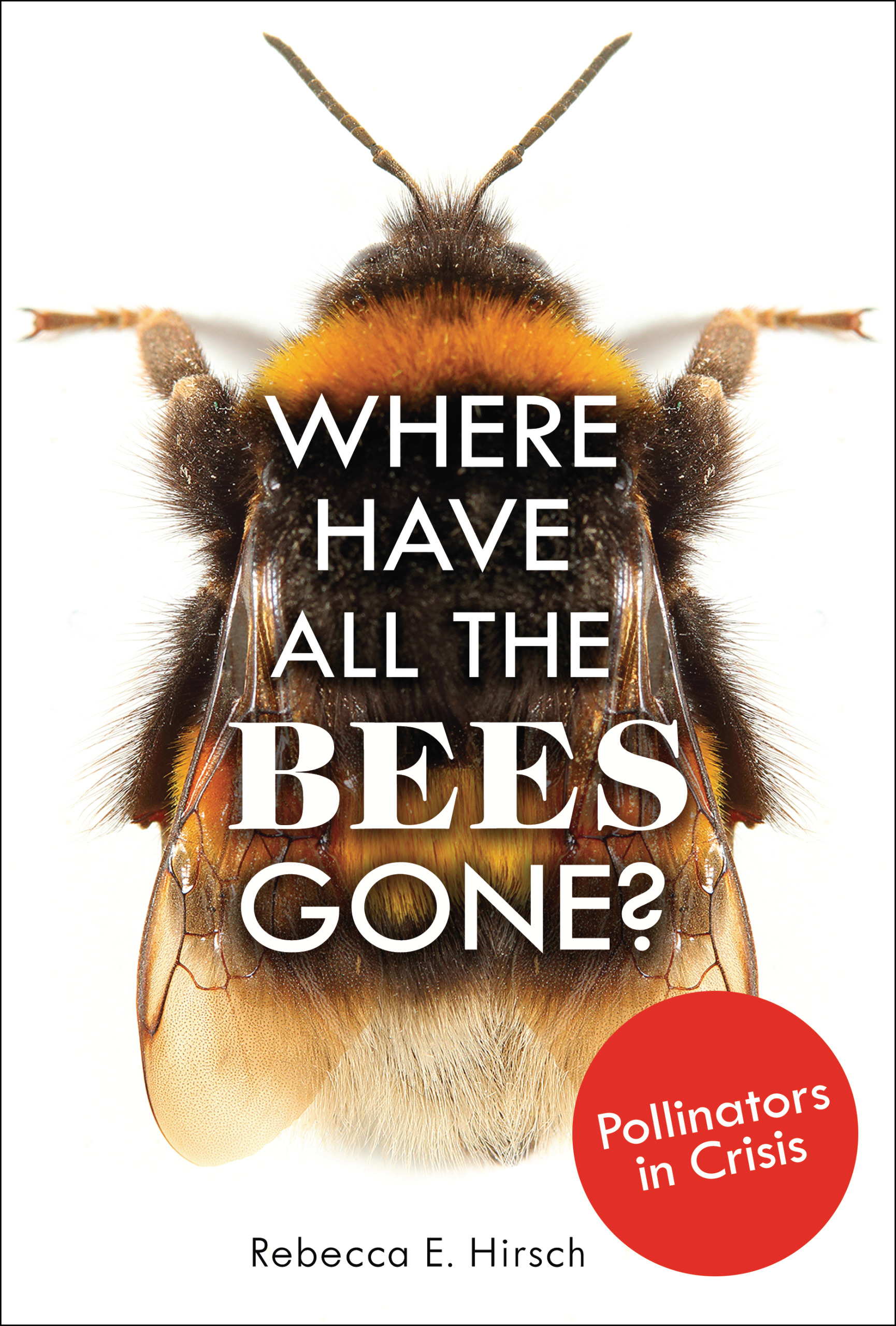 This image is the cover for the book Where Have All the Bees Gone?