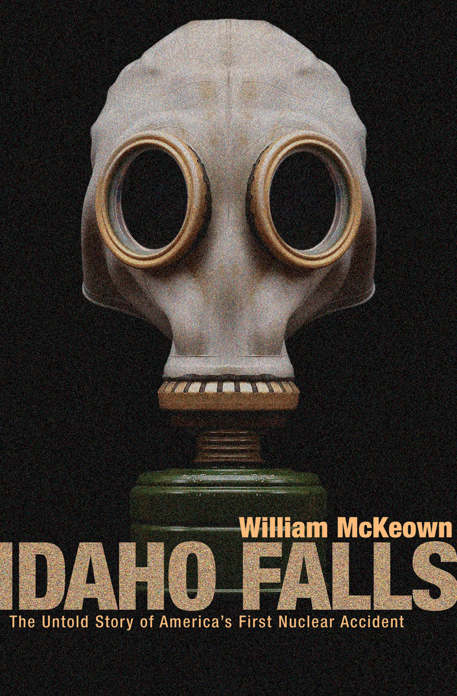 This image is the cover for the book Idaho Falls
