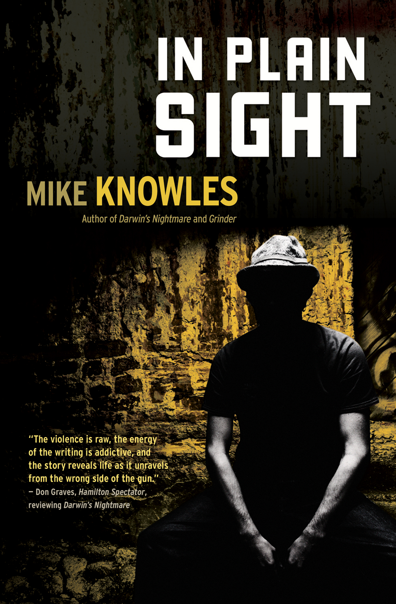 This image is the cover for the book In Plain Sight, A Wilson Mystery