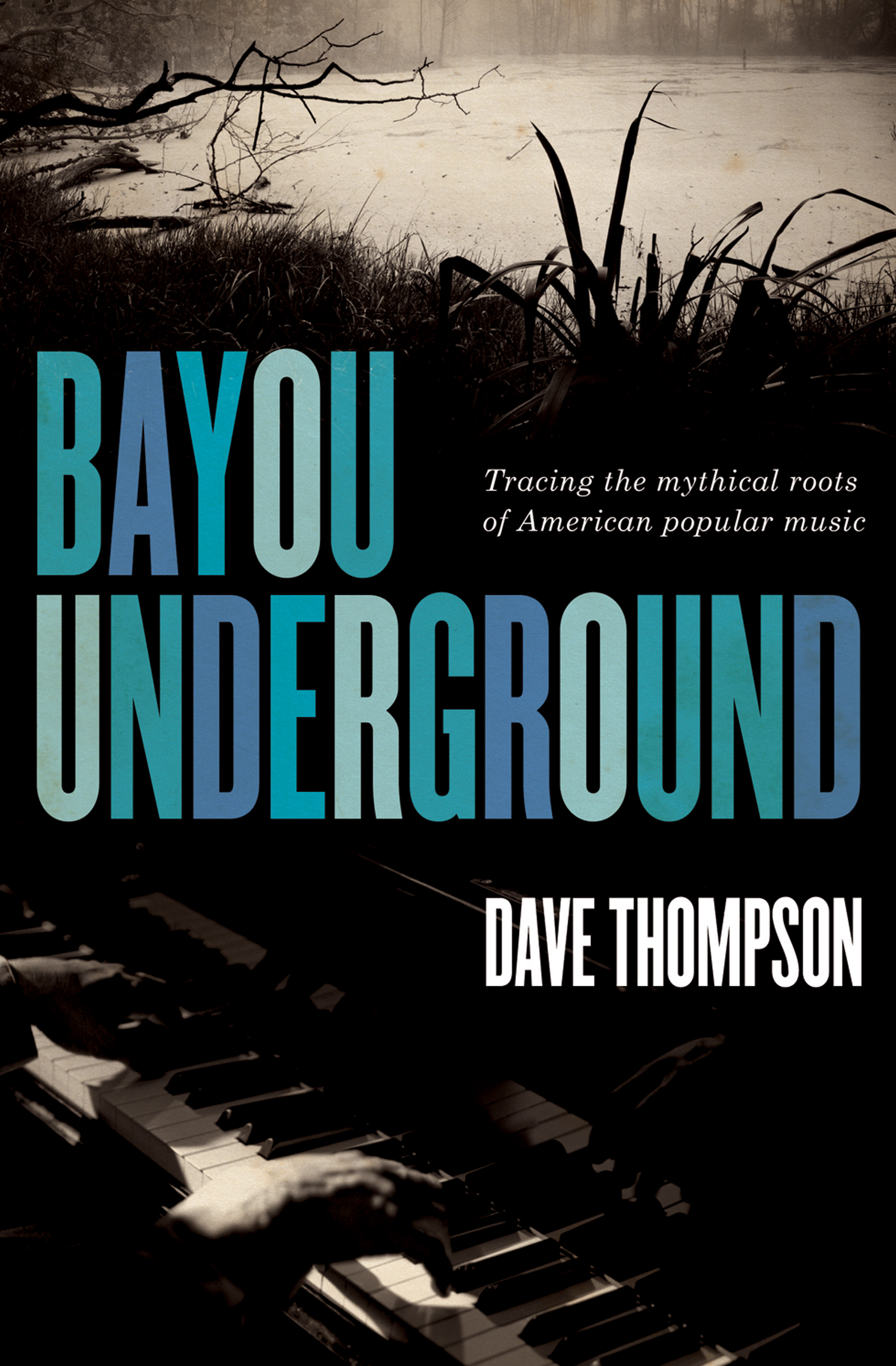 This image is the cover for the book Bayou Underground