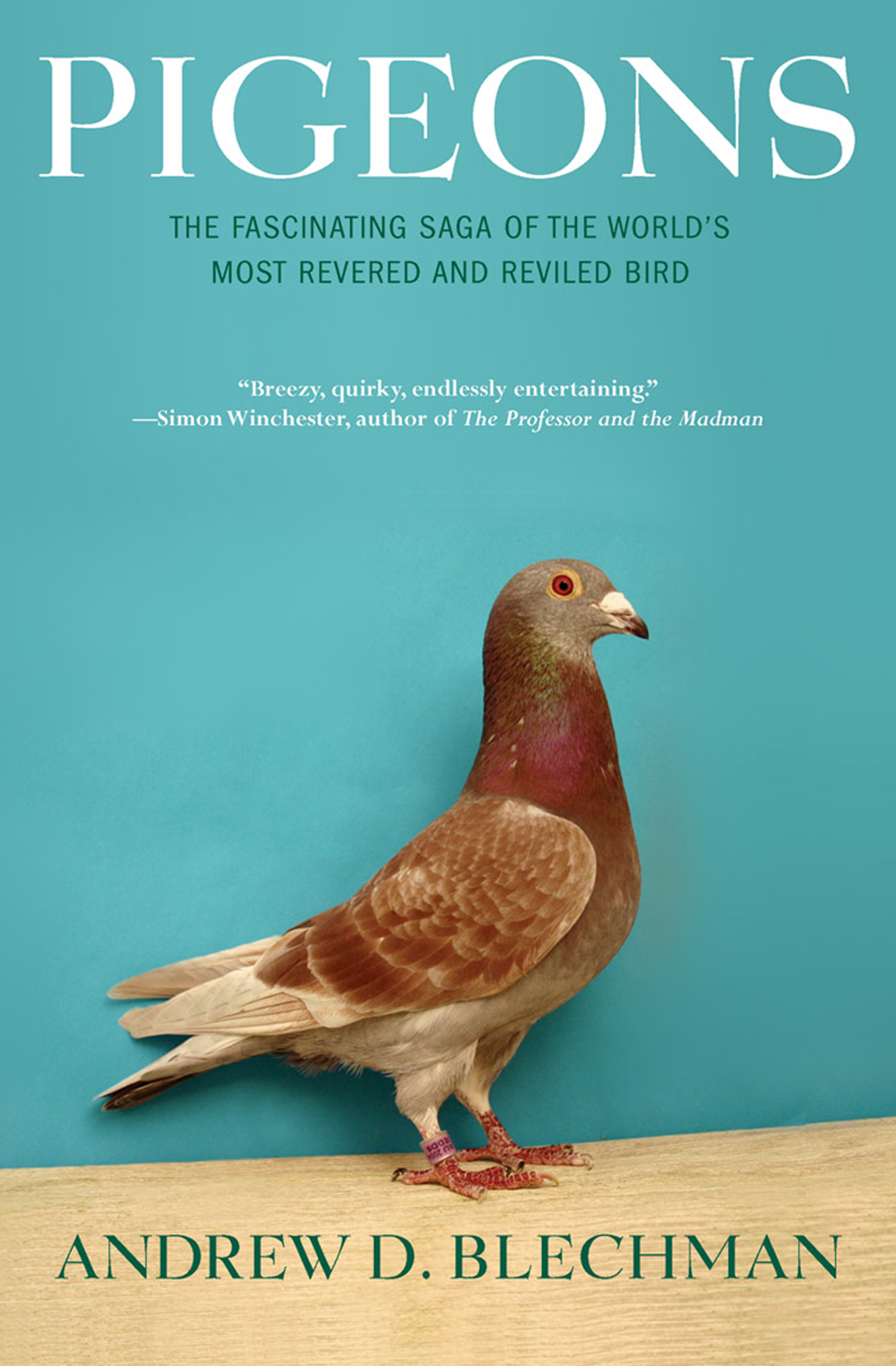 This image is the cover for the book Pigeons