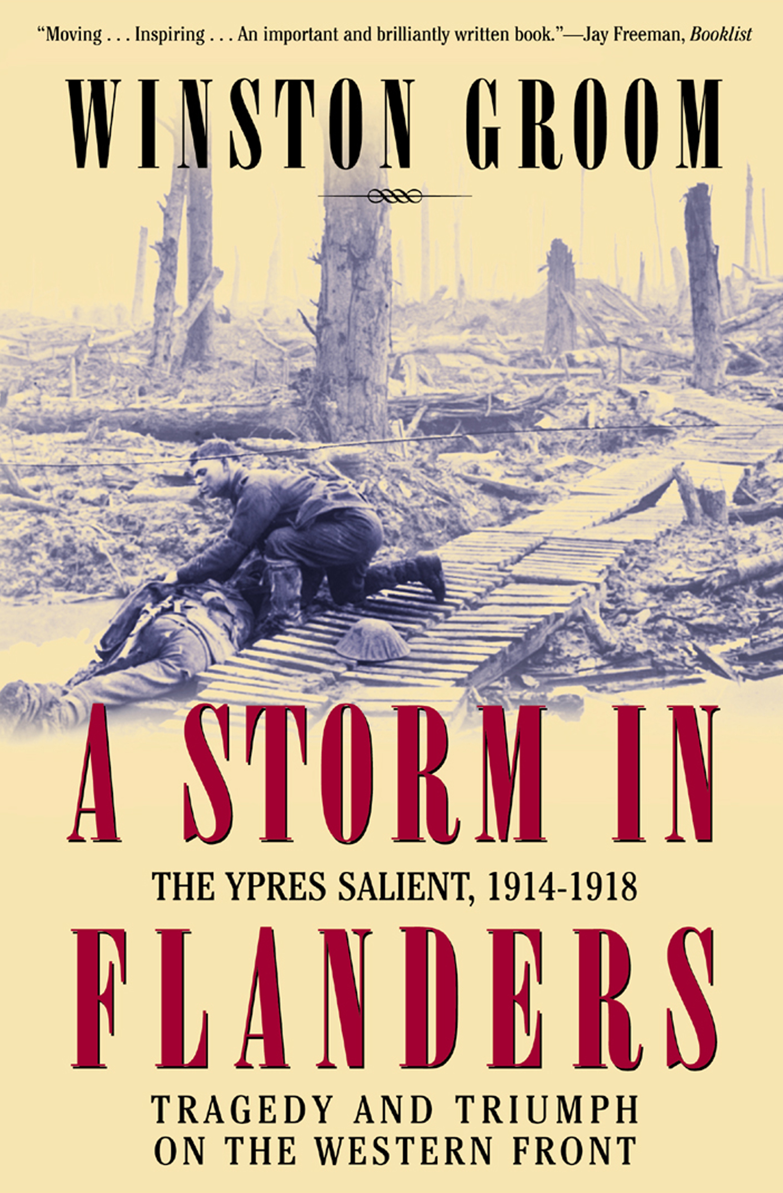 This image is the cover for the book Storm in Flanders
